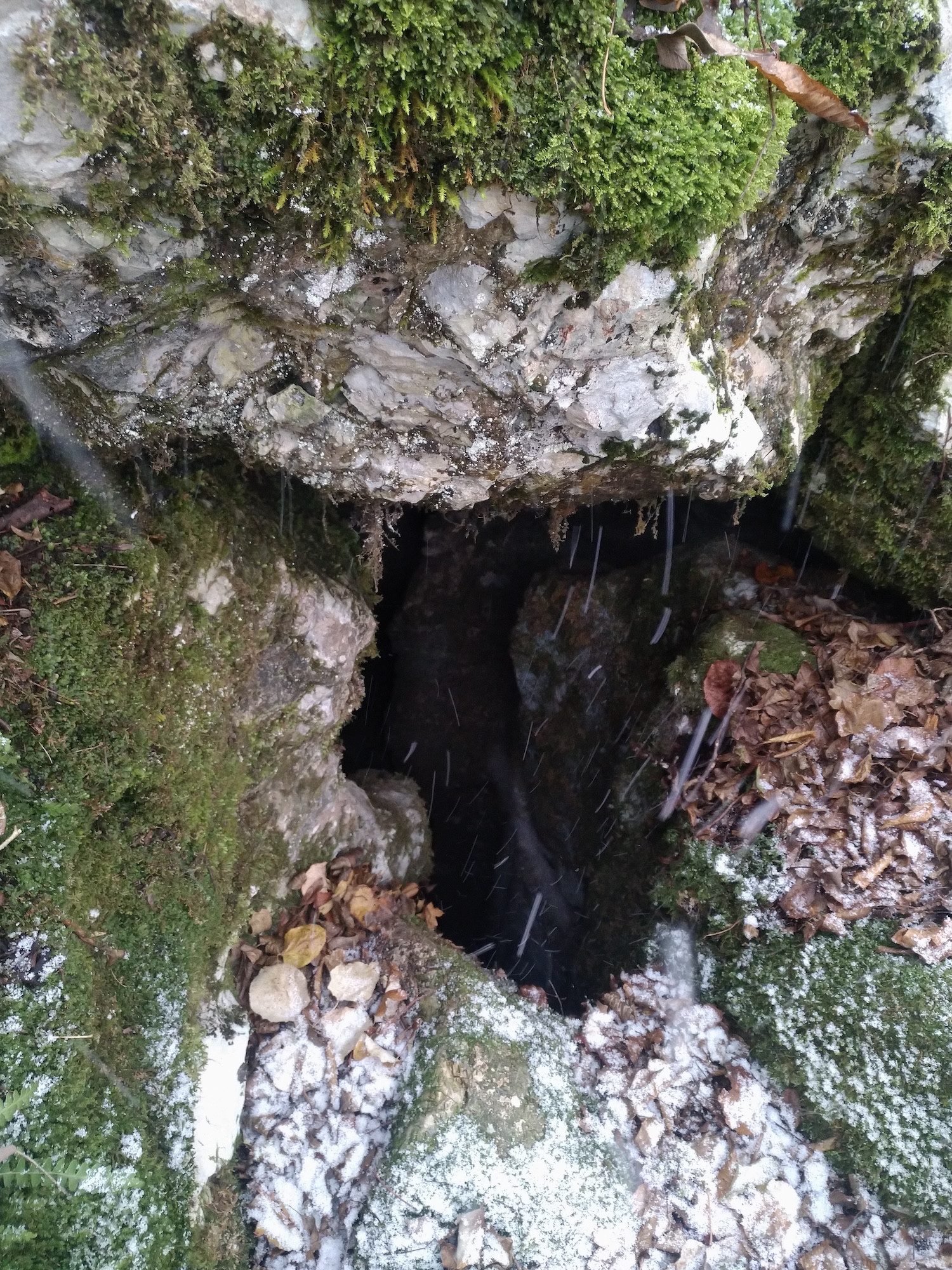 Avenul Ienupărului - Image 3