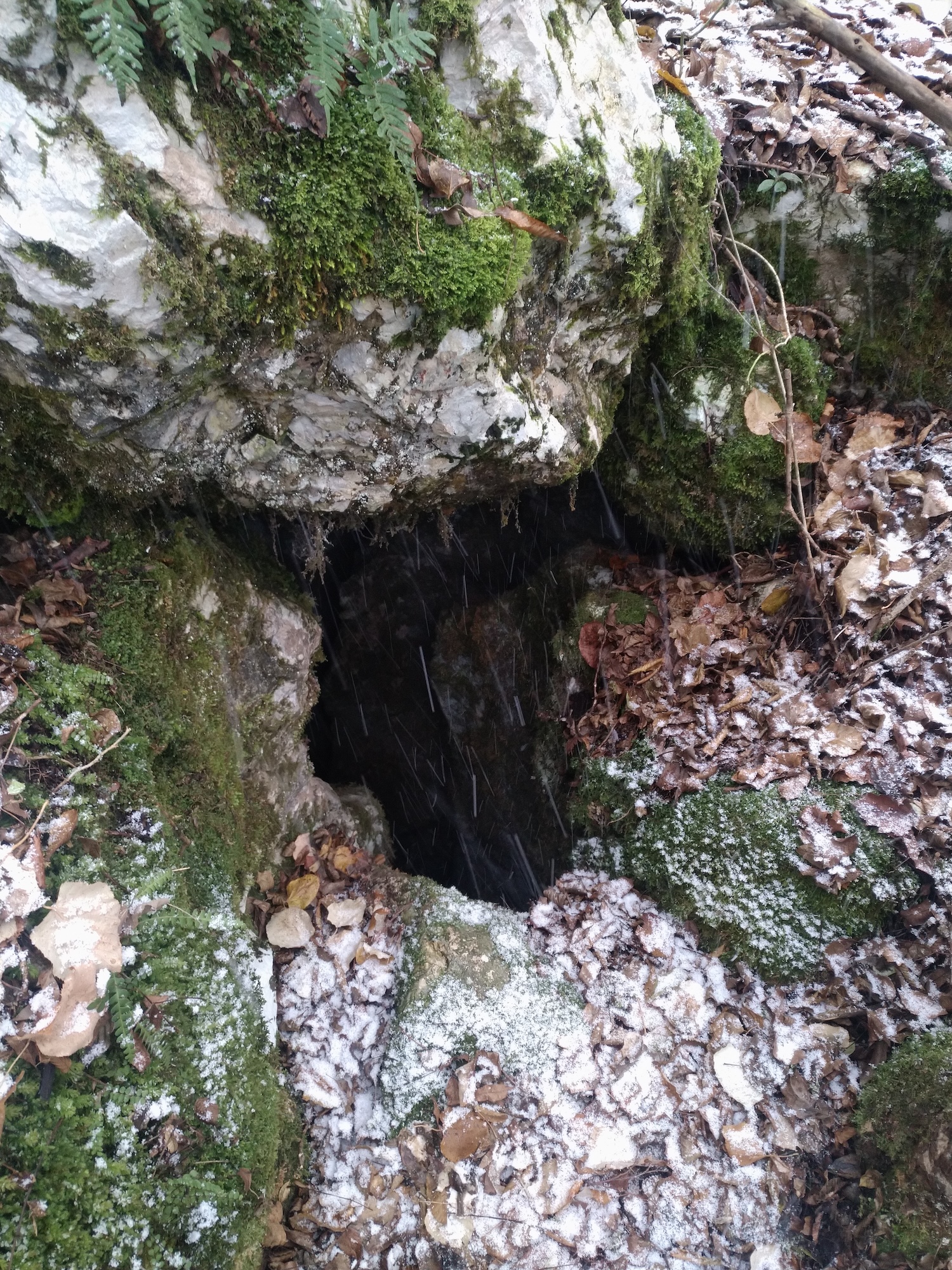 Avenul Ienupărului - Image 4