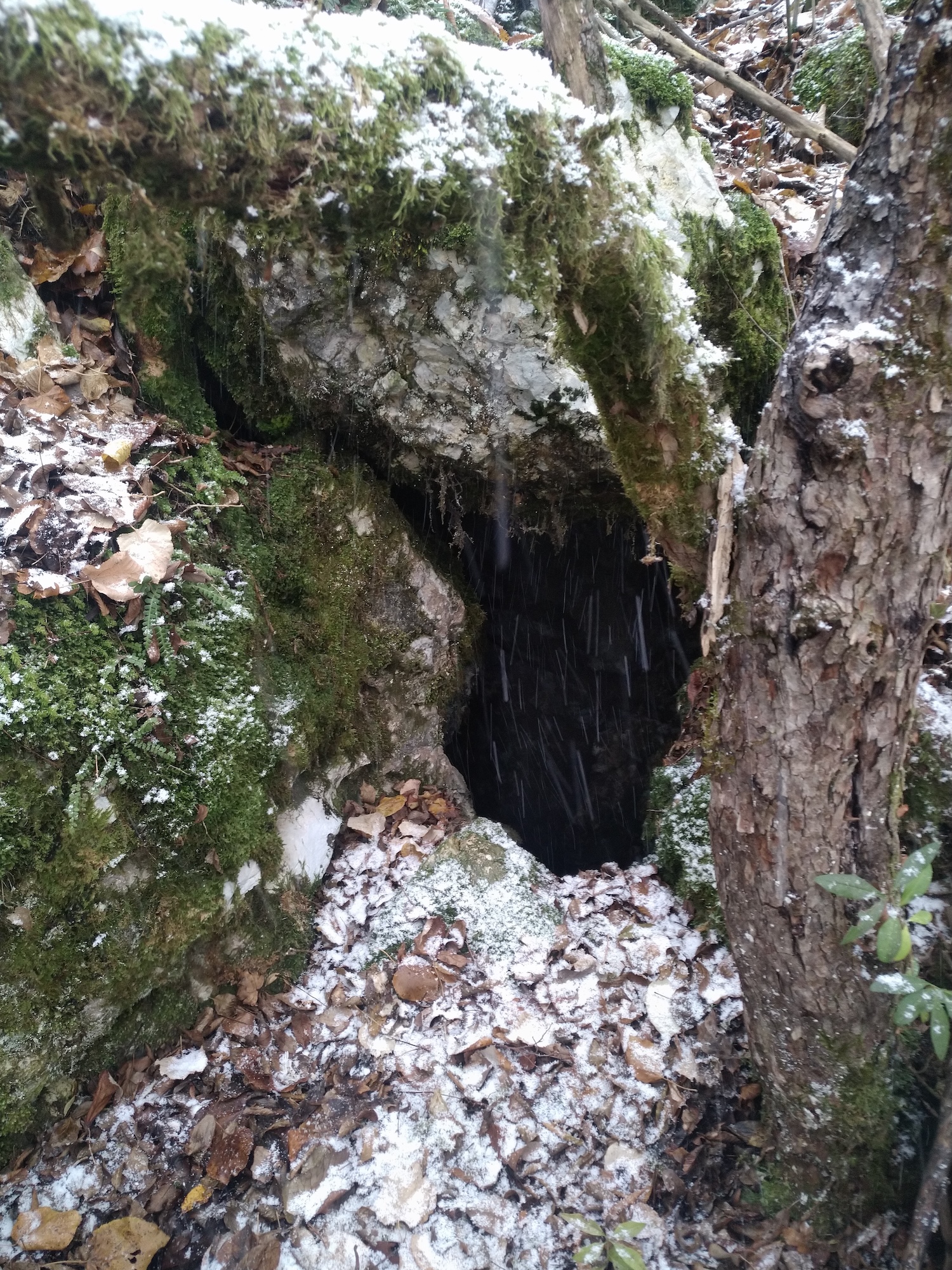 Avenul Ienupărului - Image 5