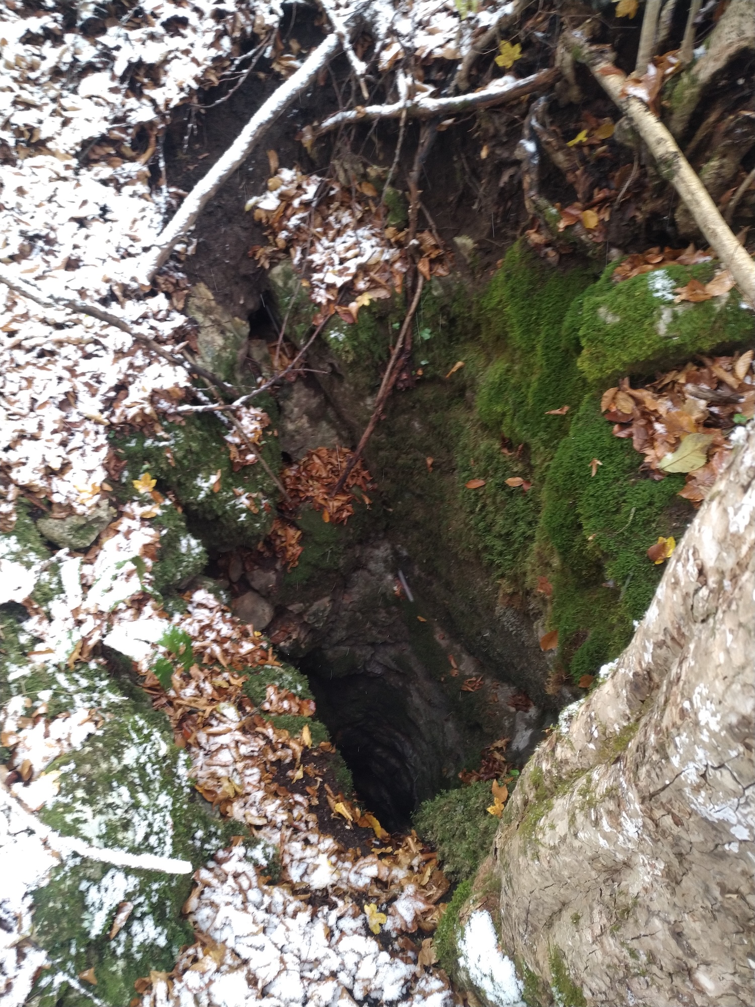 Avenul nr.1 de la Prunii lui Miclea - Image 3