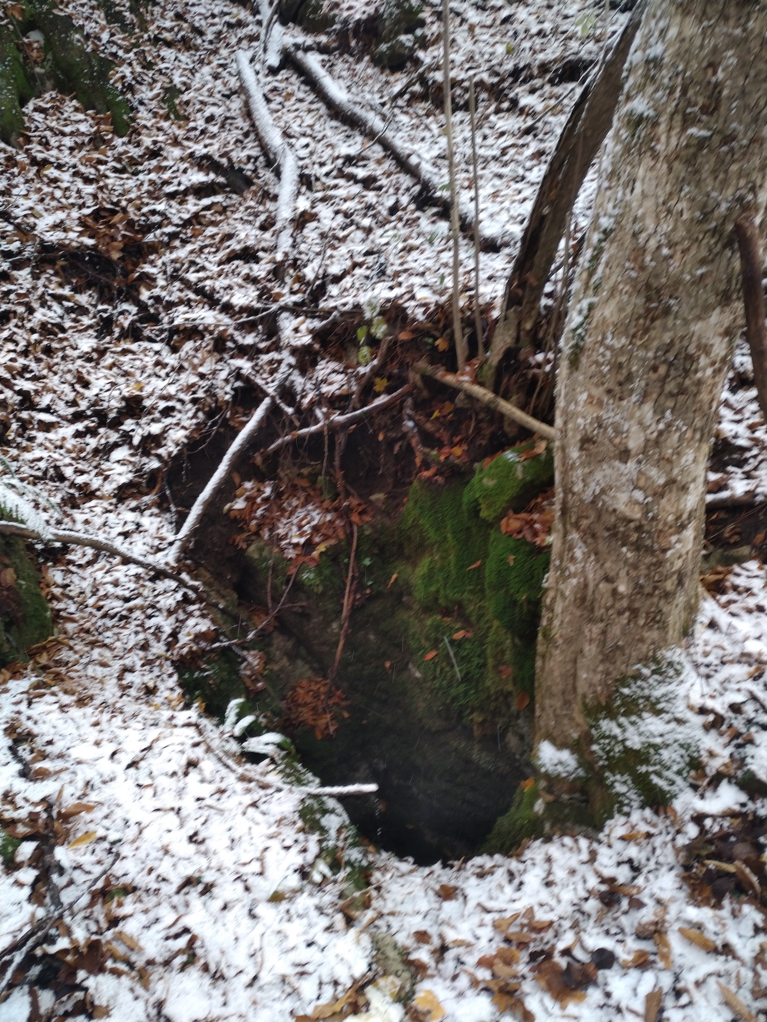 Avenul nr.1 de la Prunii lui Miclea - Image 4