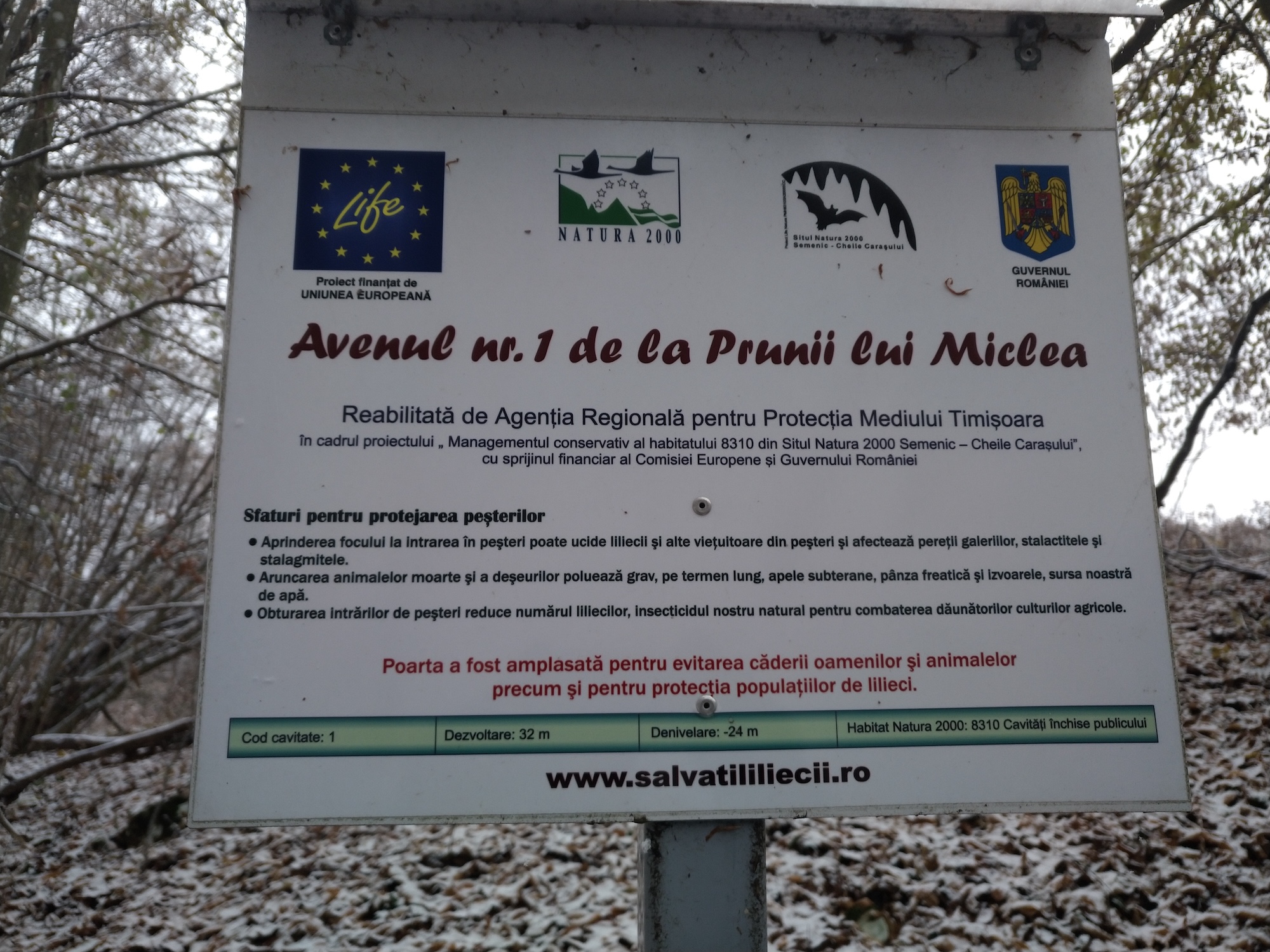 Avenul nr.1 de la Prunii lui Miclea - Image 5