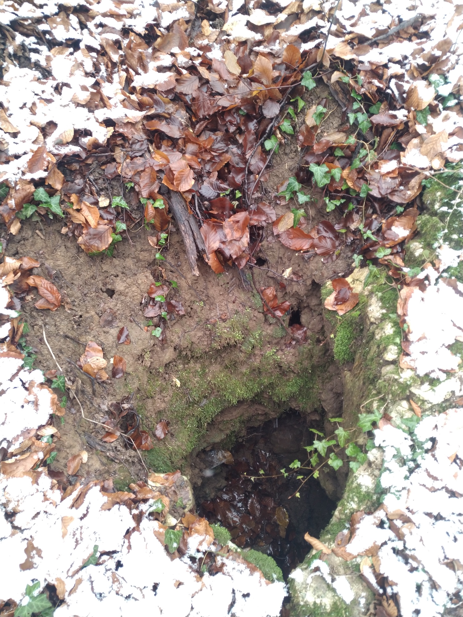 Avenul nr.3 de la Prunii lui Miclea  - Image 4