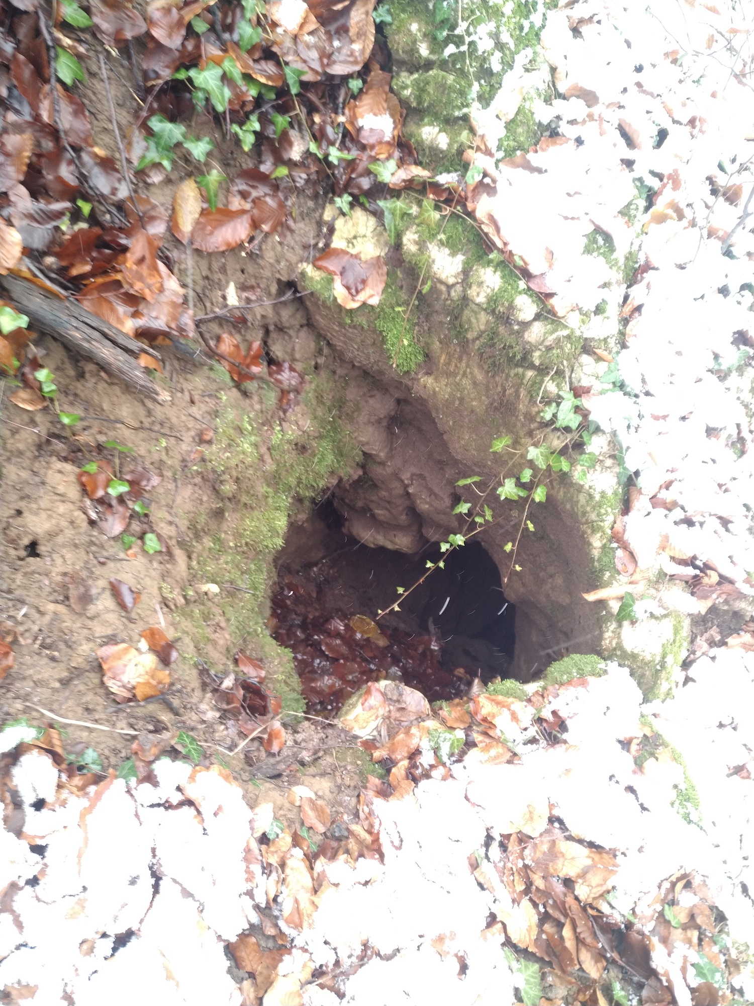 Avenul nr.3 de la Prunii lui Miclea  - Image 5