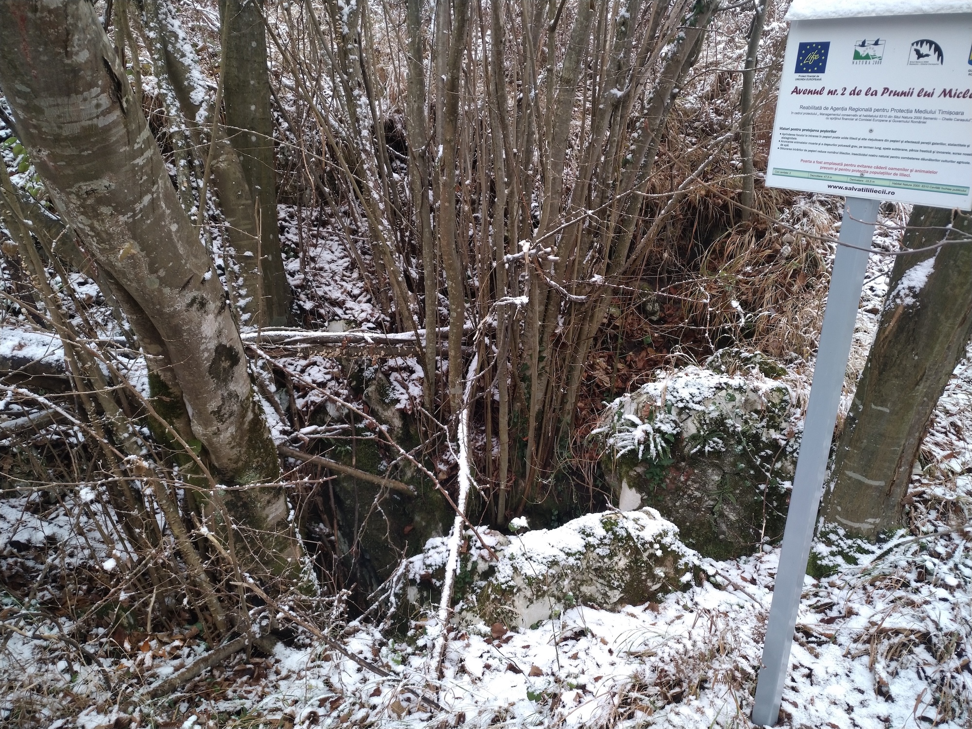 Avenul nr.2 de la Prunii lui Miclea - Image 7