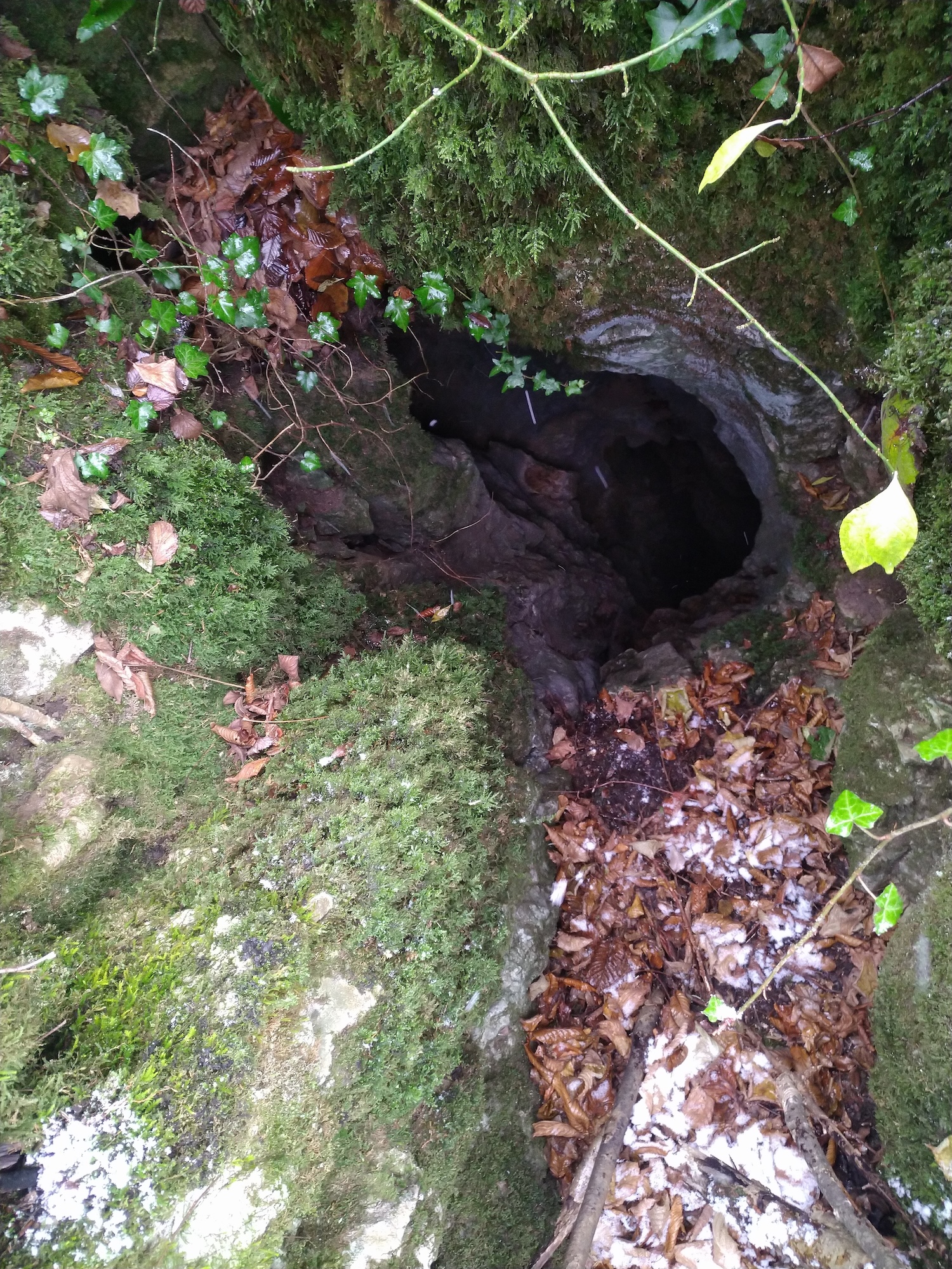 Avenul nr.2 de la Prunii lui Miclea - Image 4