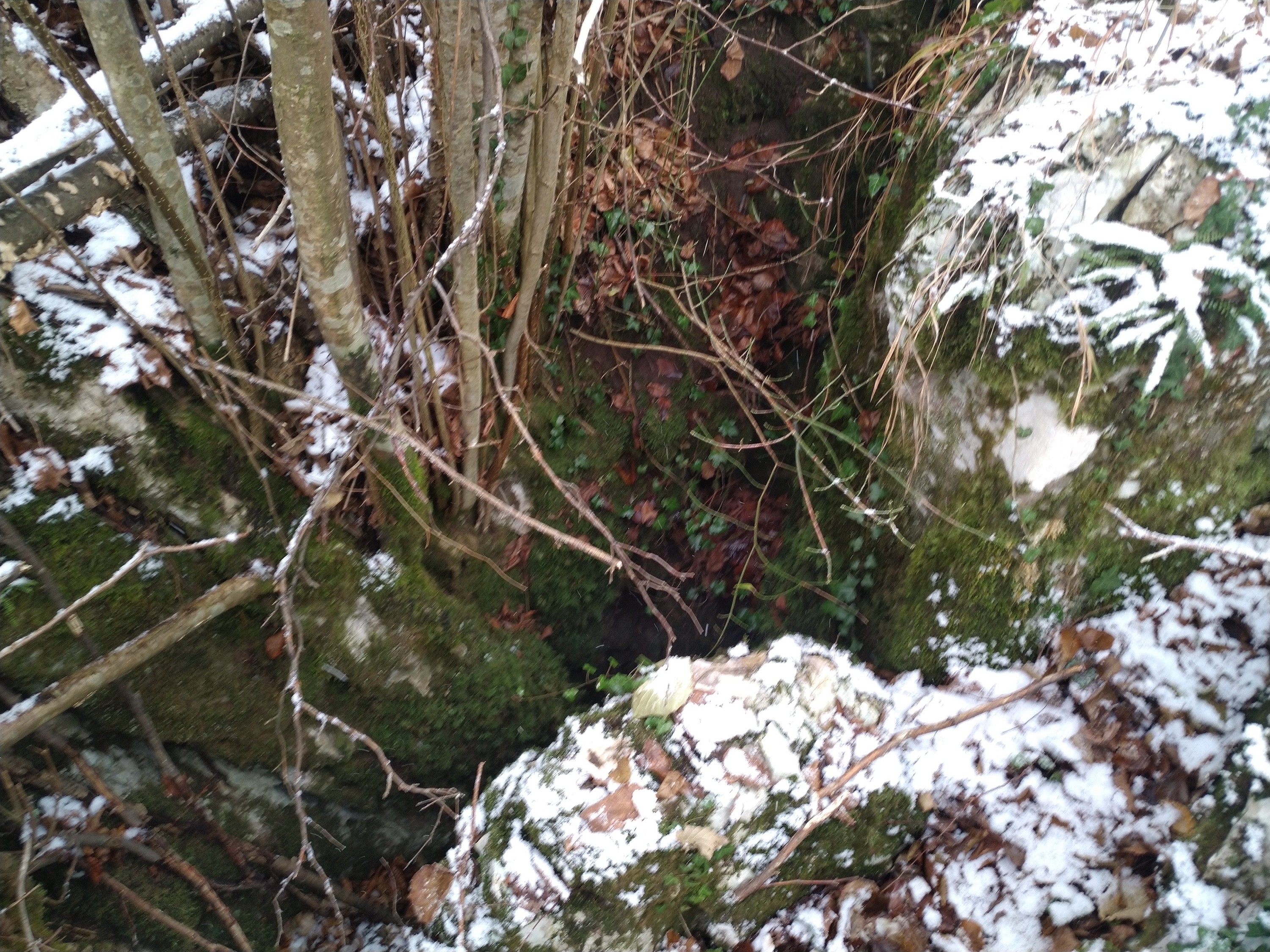 Avenul nr.2 de la Prunii lui Miclea - Image 6