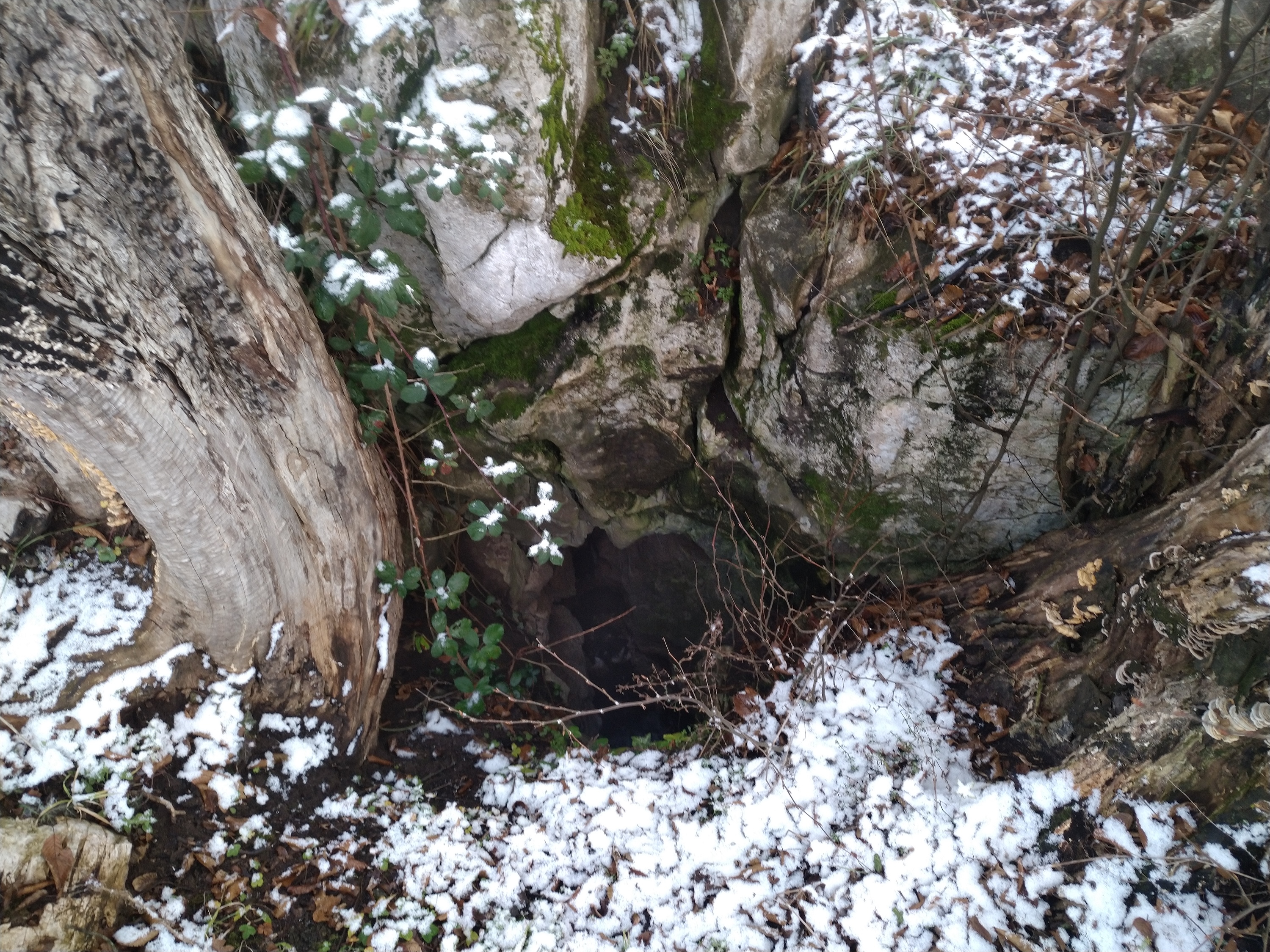 Avenul de la Baltă - Image 1