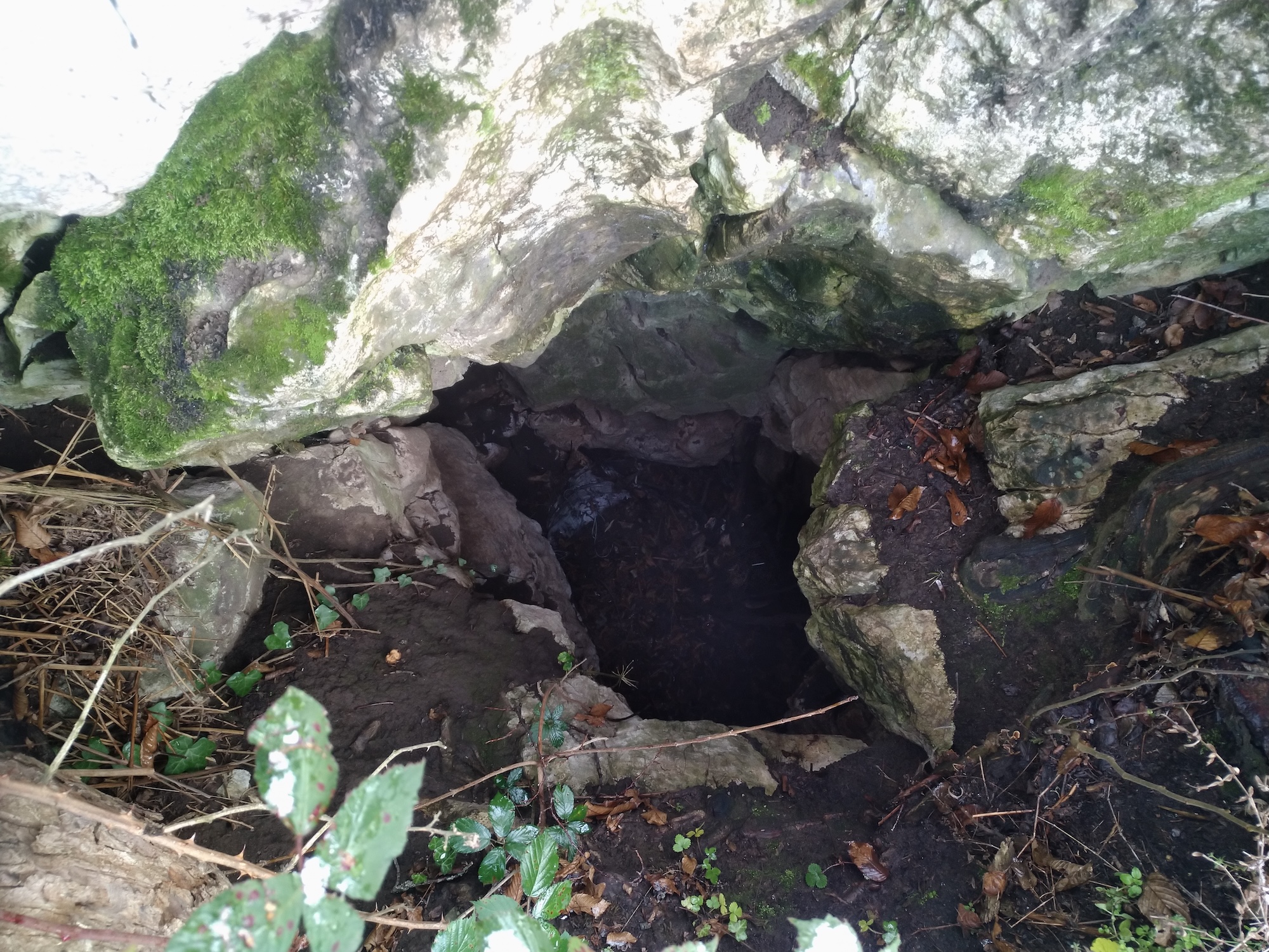 Avenul de la Baltă - Image 2