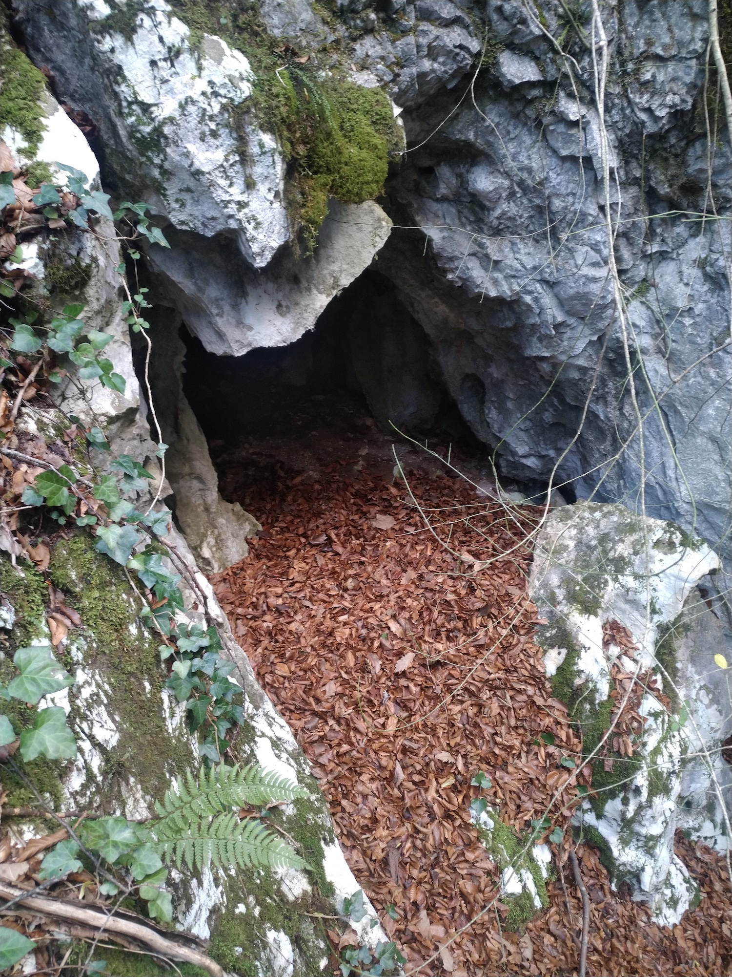 Peştera nr. 15 din Valea Comarnic - Image 3