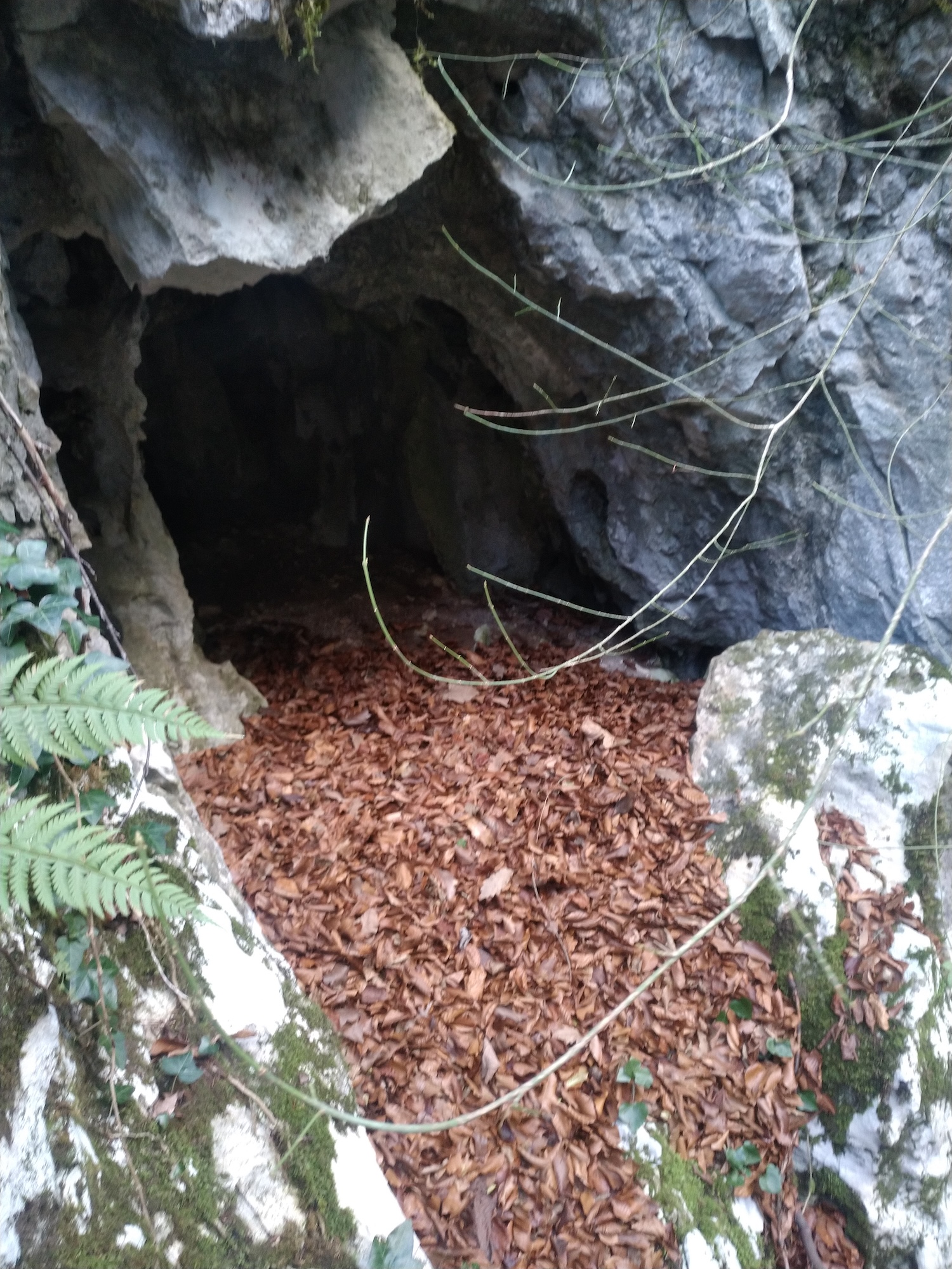 Peştera nr. 15 din Valea Comarnic - Image 2