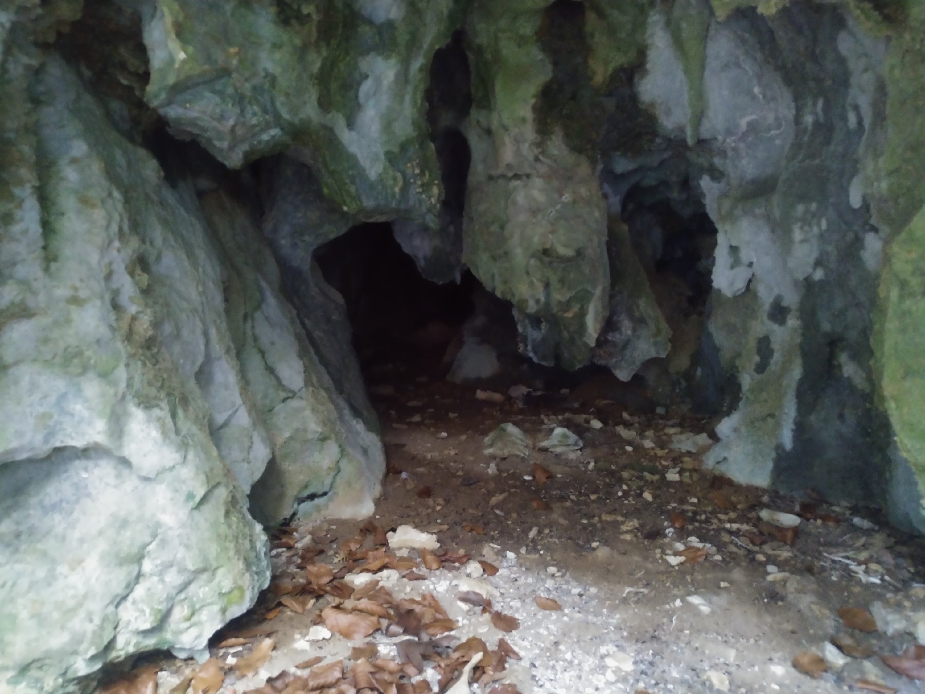 Peştera nr. 15 din Valea Comarnic - Image 1