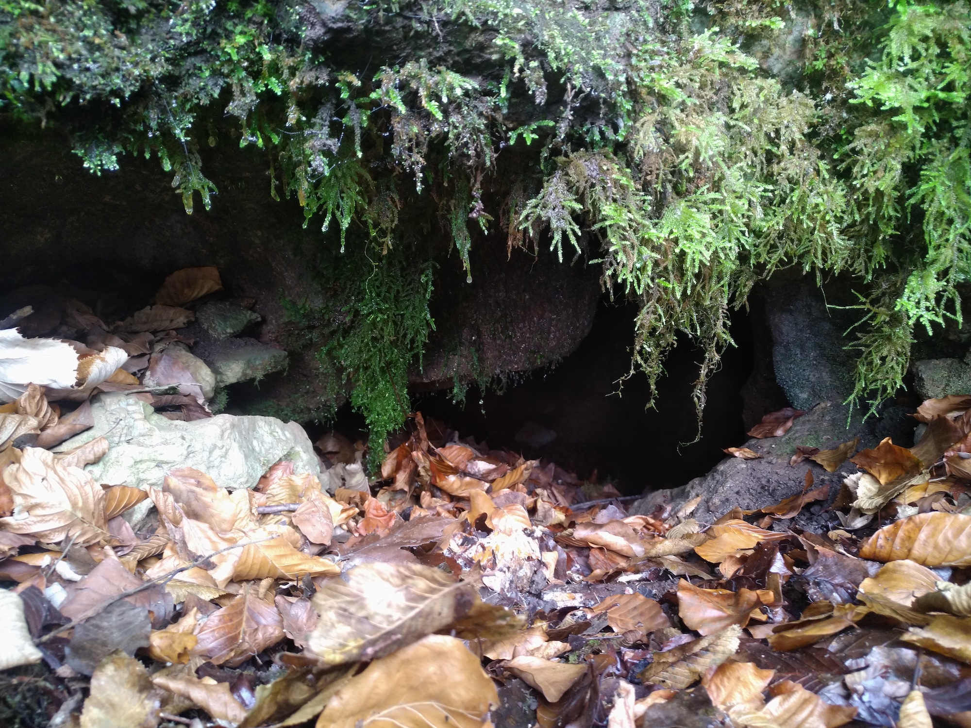 Peștera Nr. 25 din Valea Comarnic - Image 4