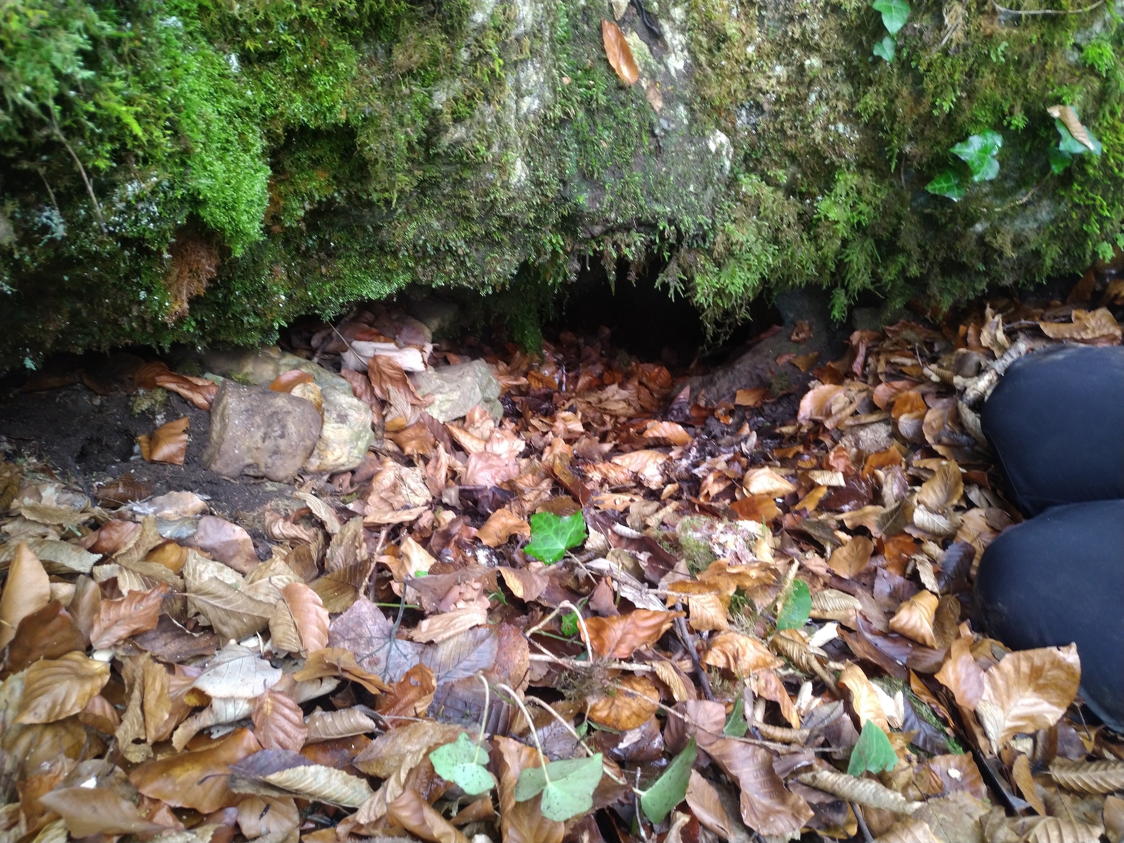 Peștera Nr. 25 din Valea Comarnic - Image 2