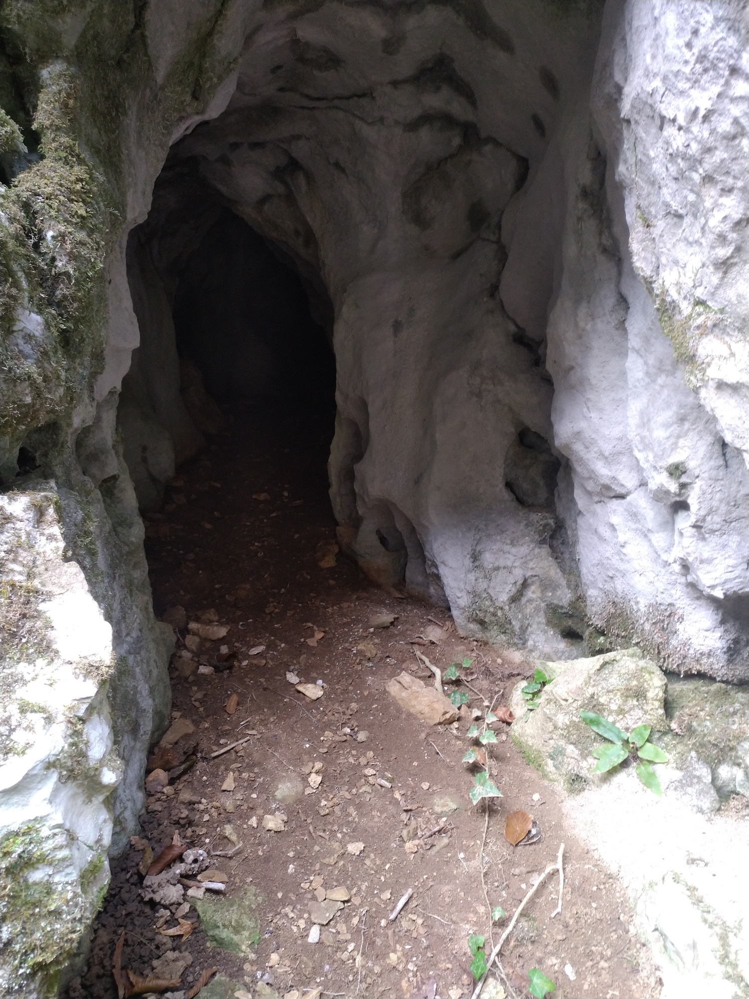 Peștera Nr.2 din V. Comarnicului - Image 1