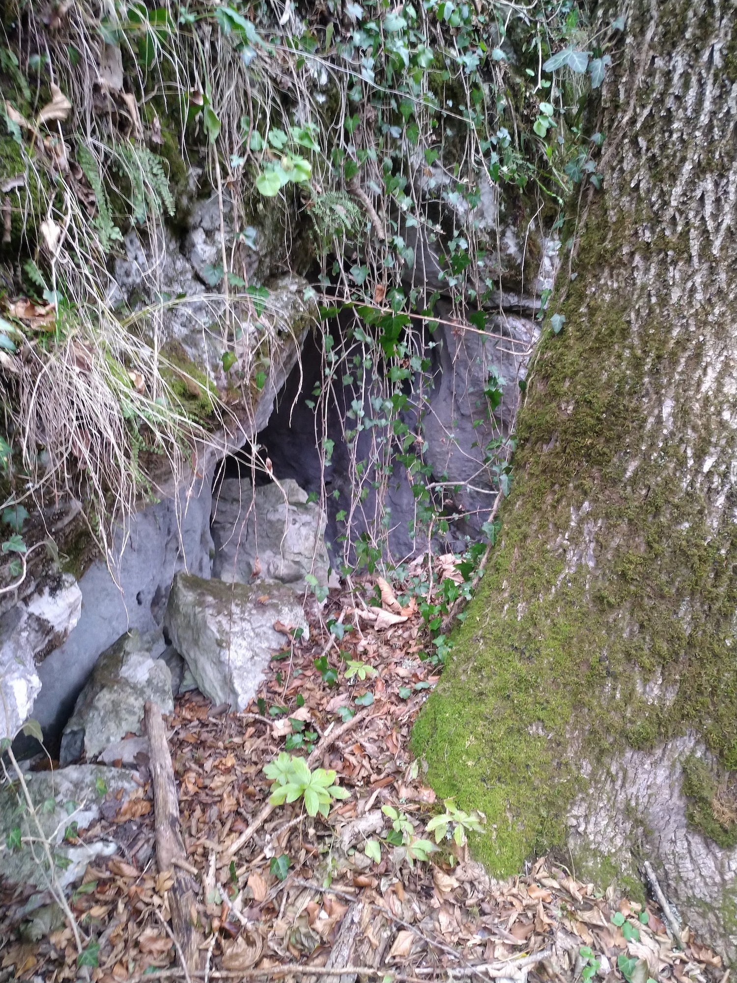 Peștera nr.1 din Valea Comarnicului - Image 4