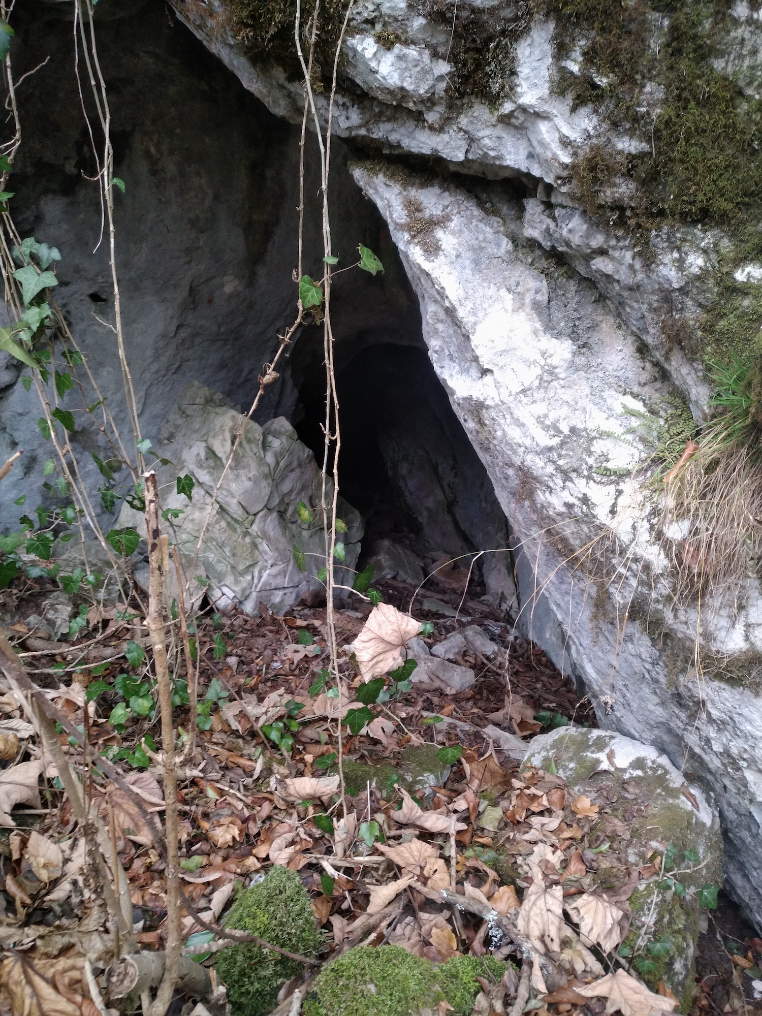 Peștera nr.1 din Valea Comarnicului - Image 3