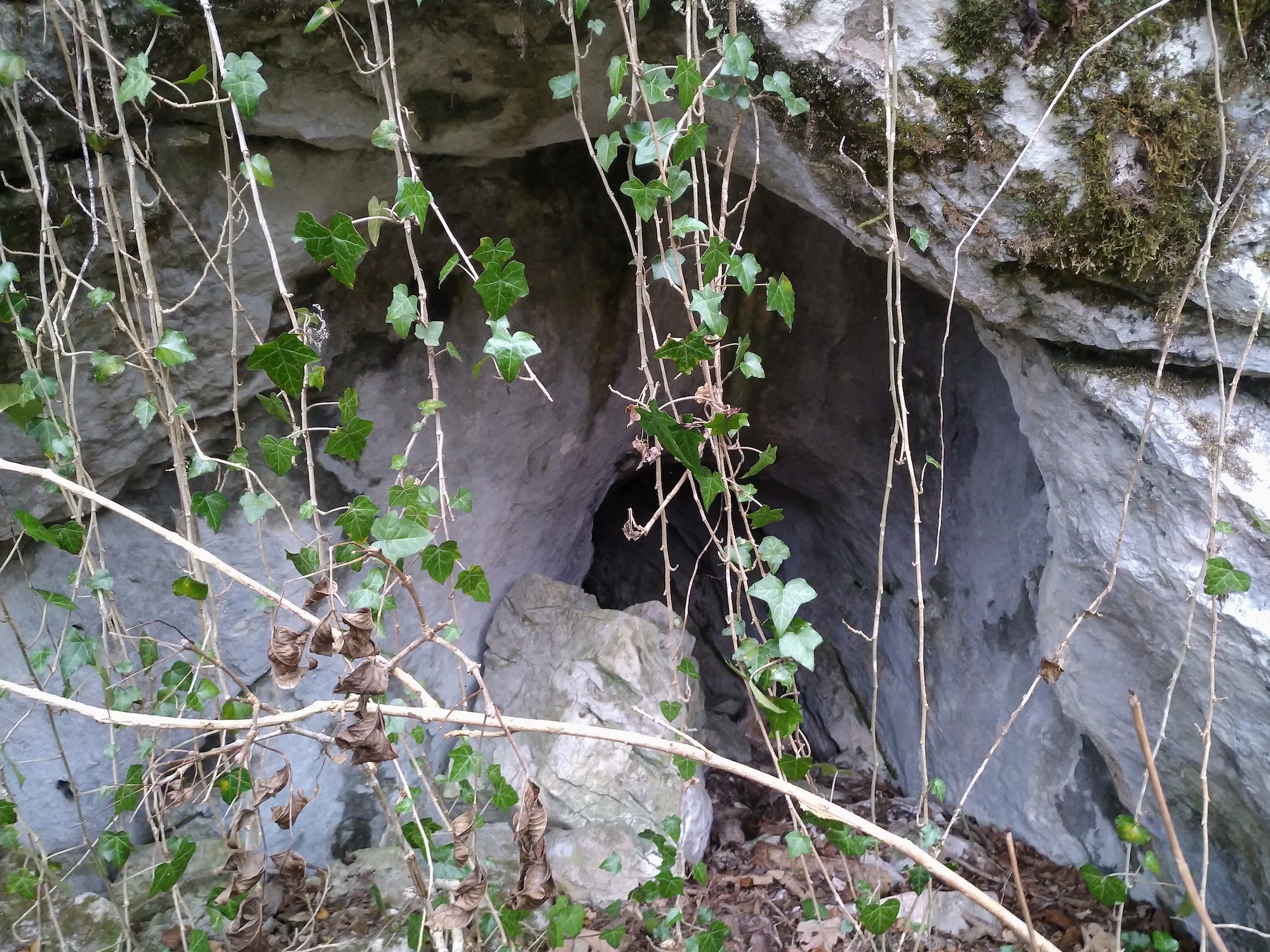 Peștera nr.1 din Valea Comarnicului - Image 2