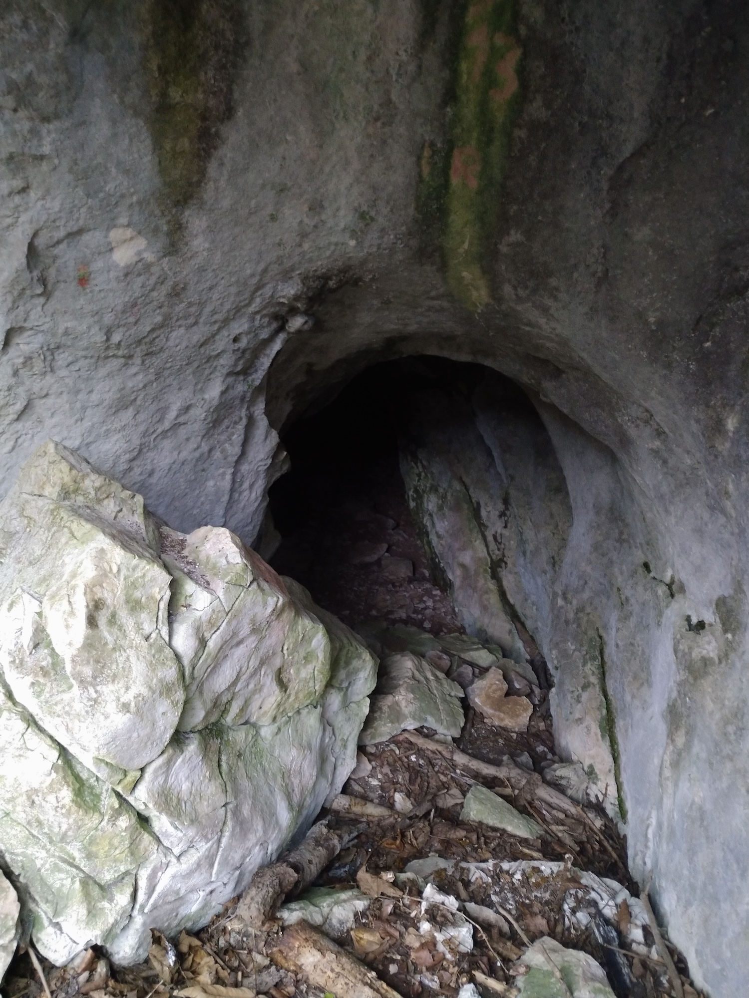 Peștera nr.1 din Valea Comarnicului - Image 1