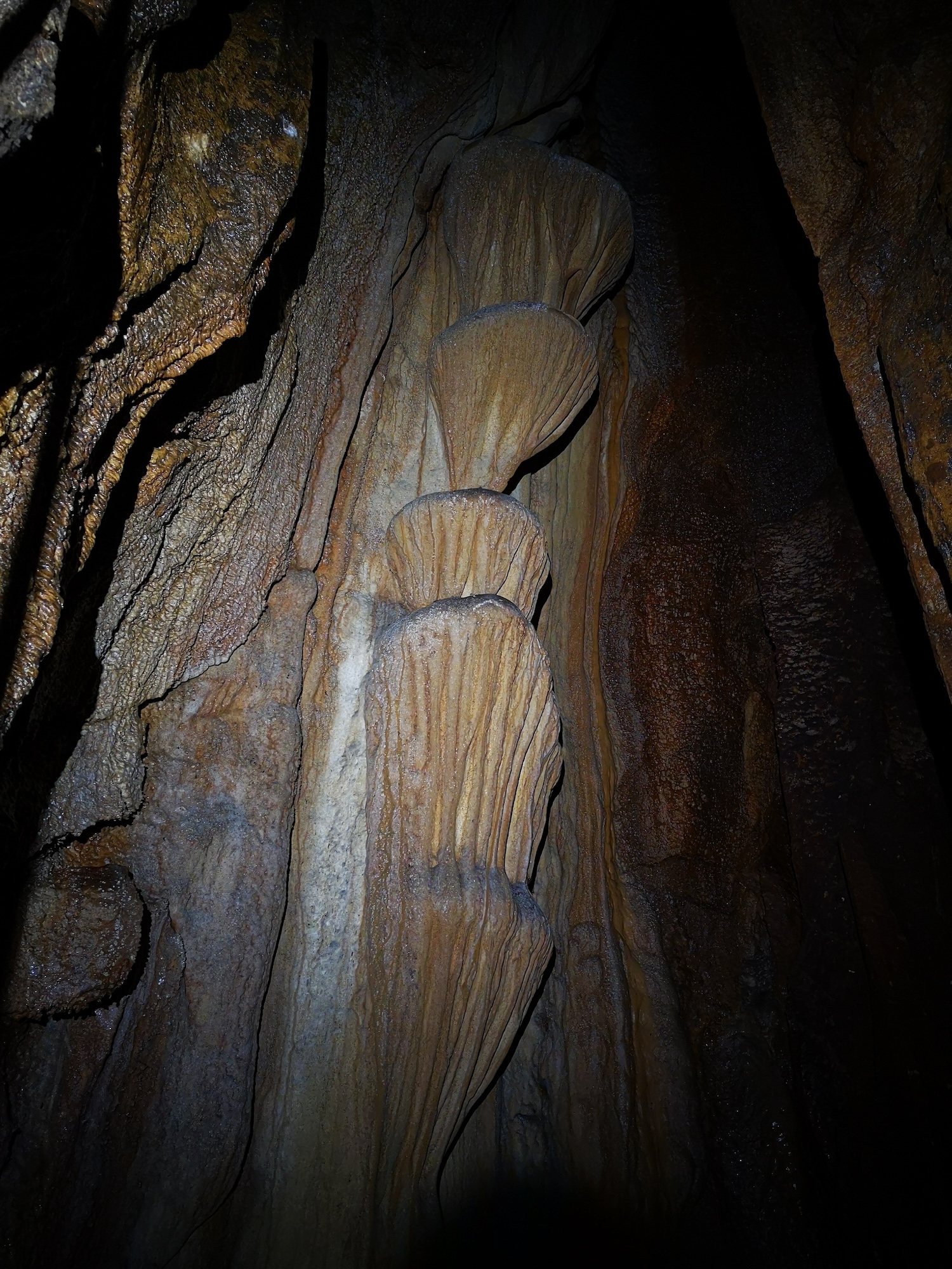 Avenul din Dealul Cârșiei - Image 1