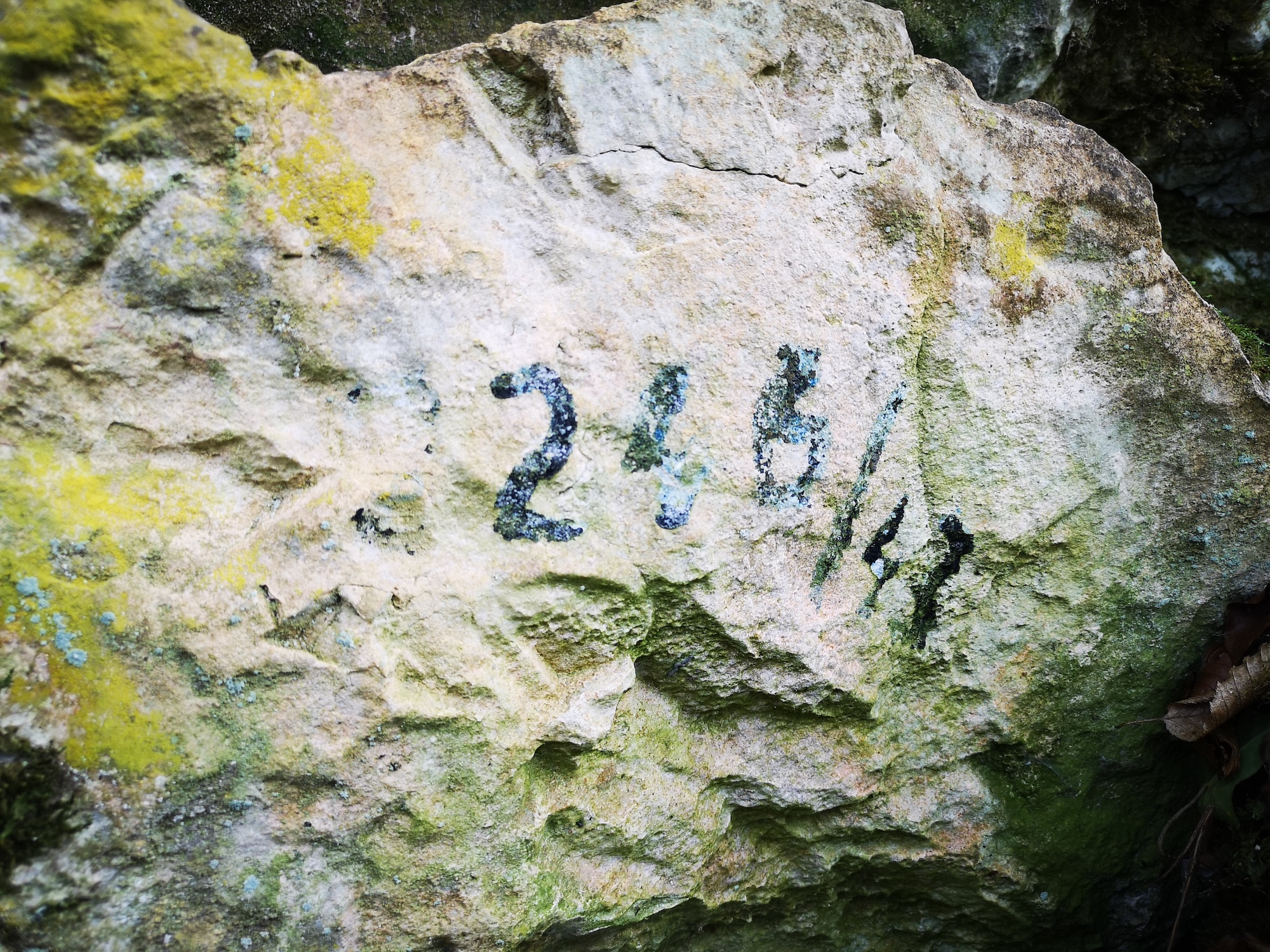 Avenul din Dealul Cârșiei - Image 2