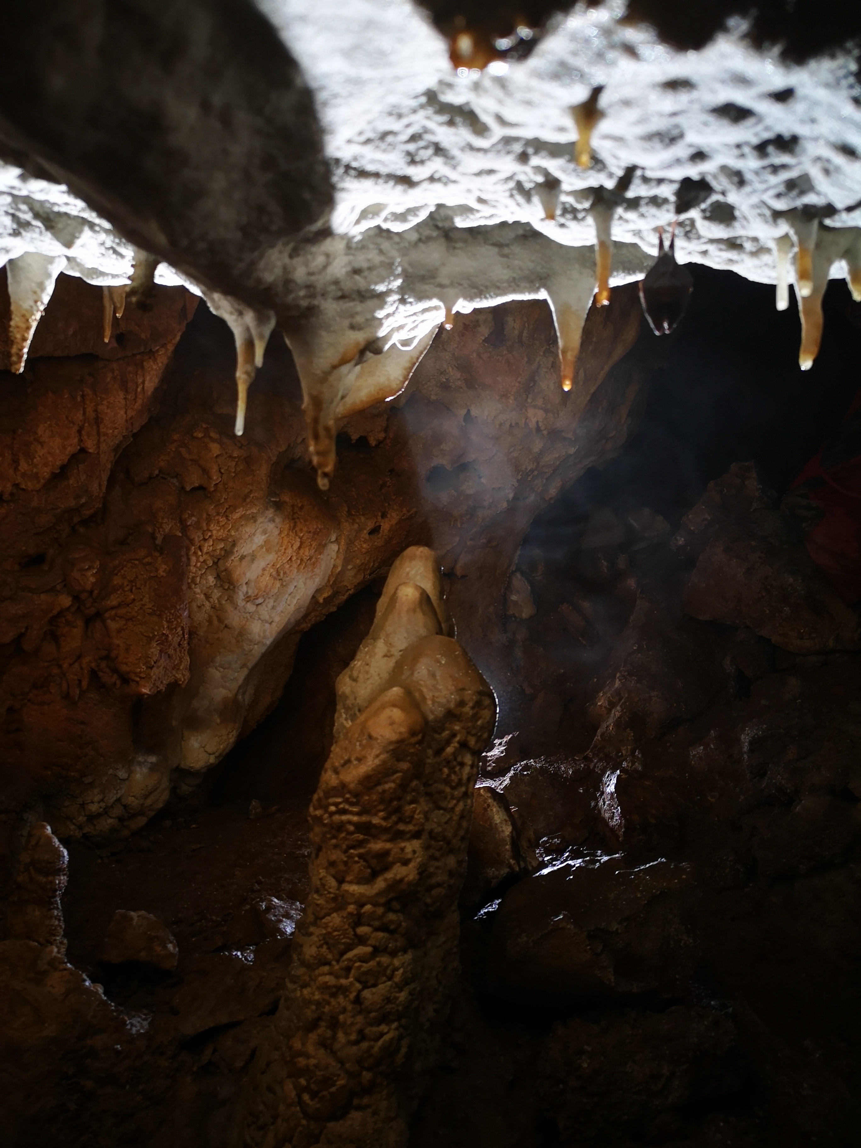 Avenul Calului - Image 3