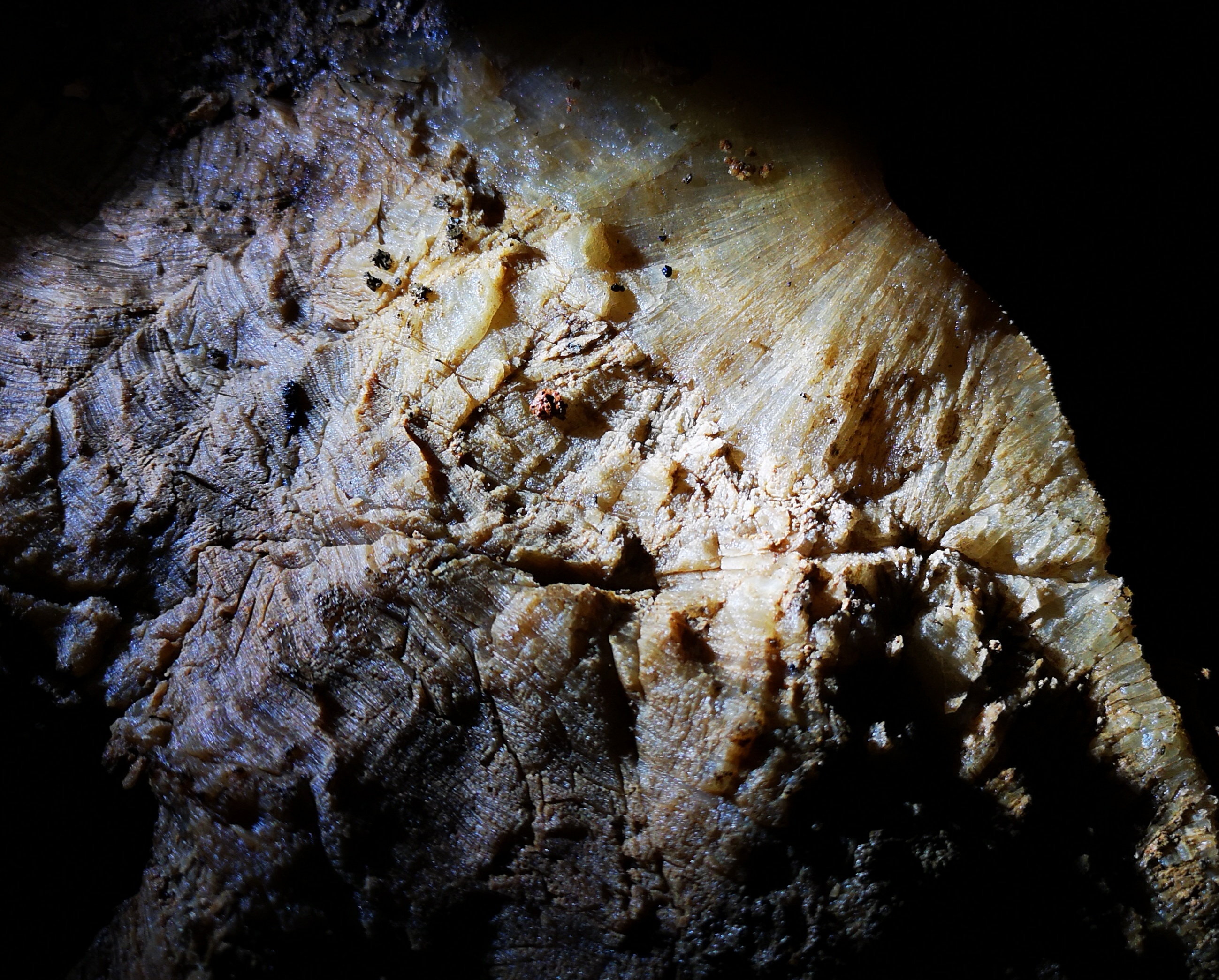 Avenul Speranței - Image 5