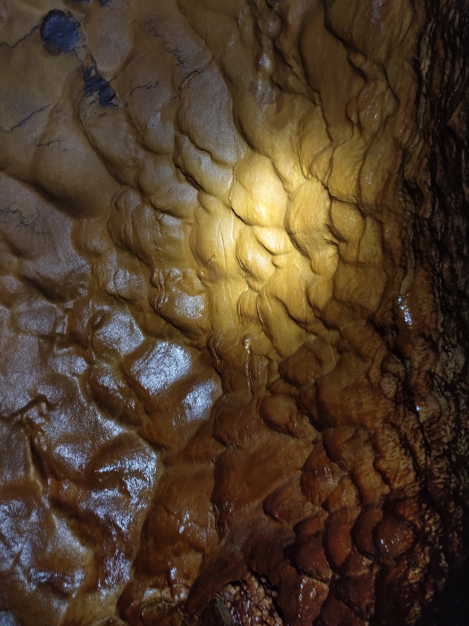 Peștera Pepii - Image 8