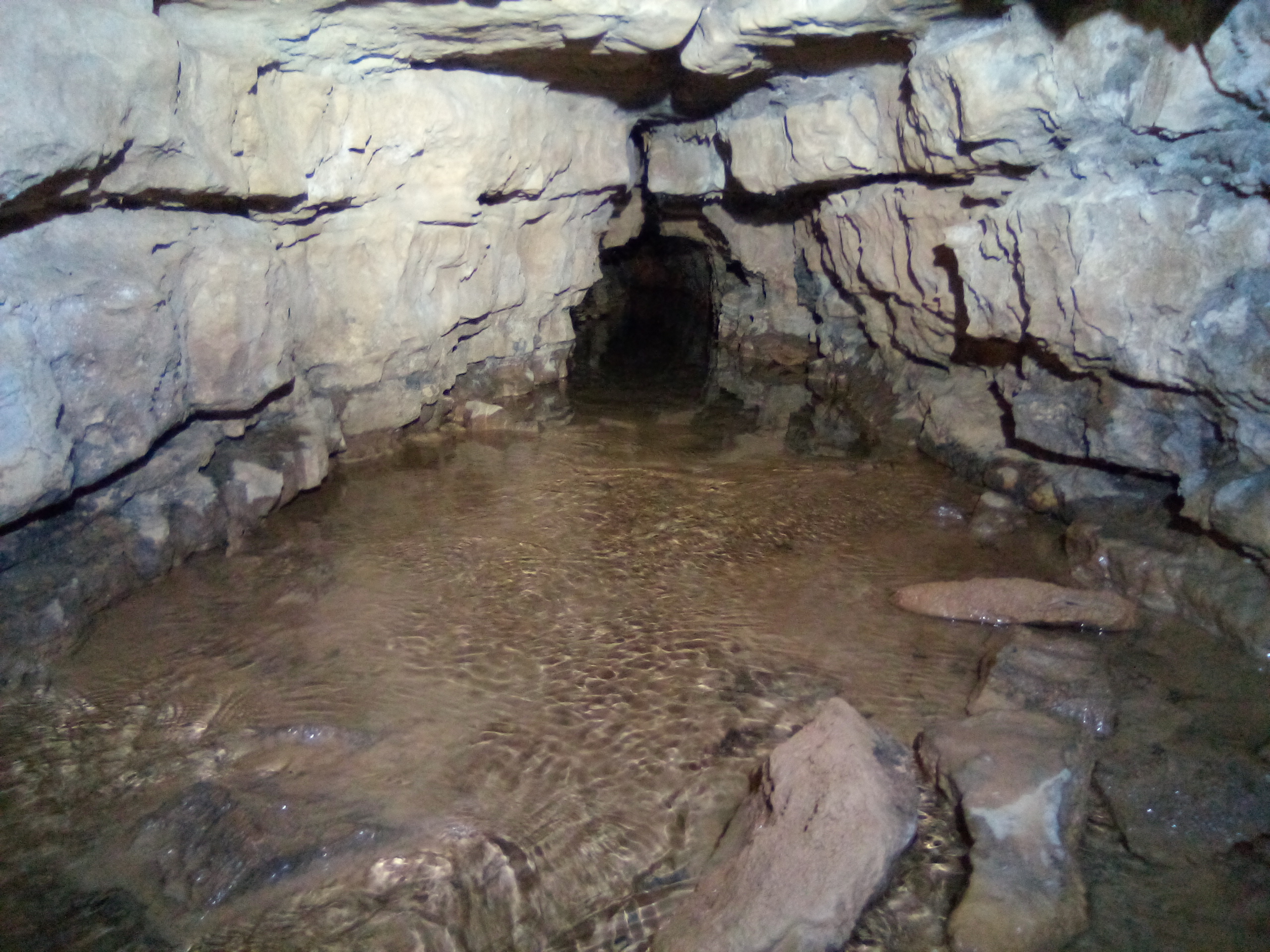 Peştera lui Onuţ - Image 3