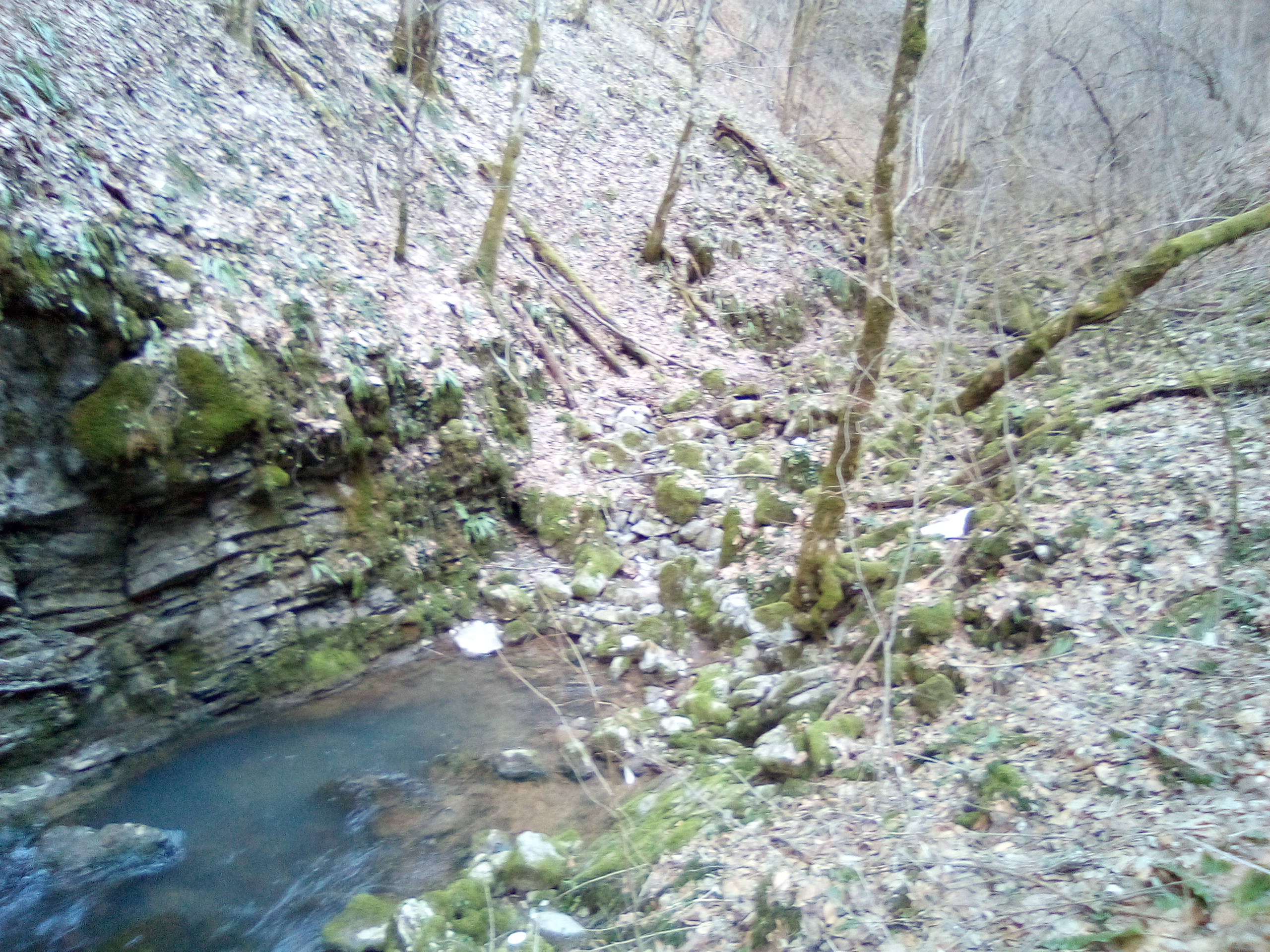 Izbucul Bulbuci (Toplicioarei) - Image 3