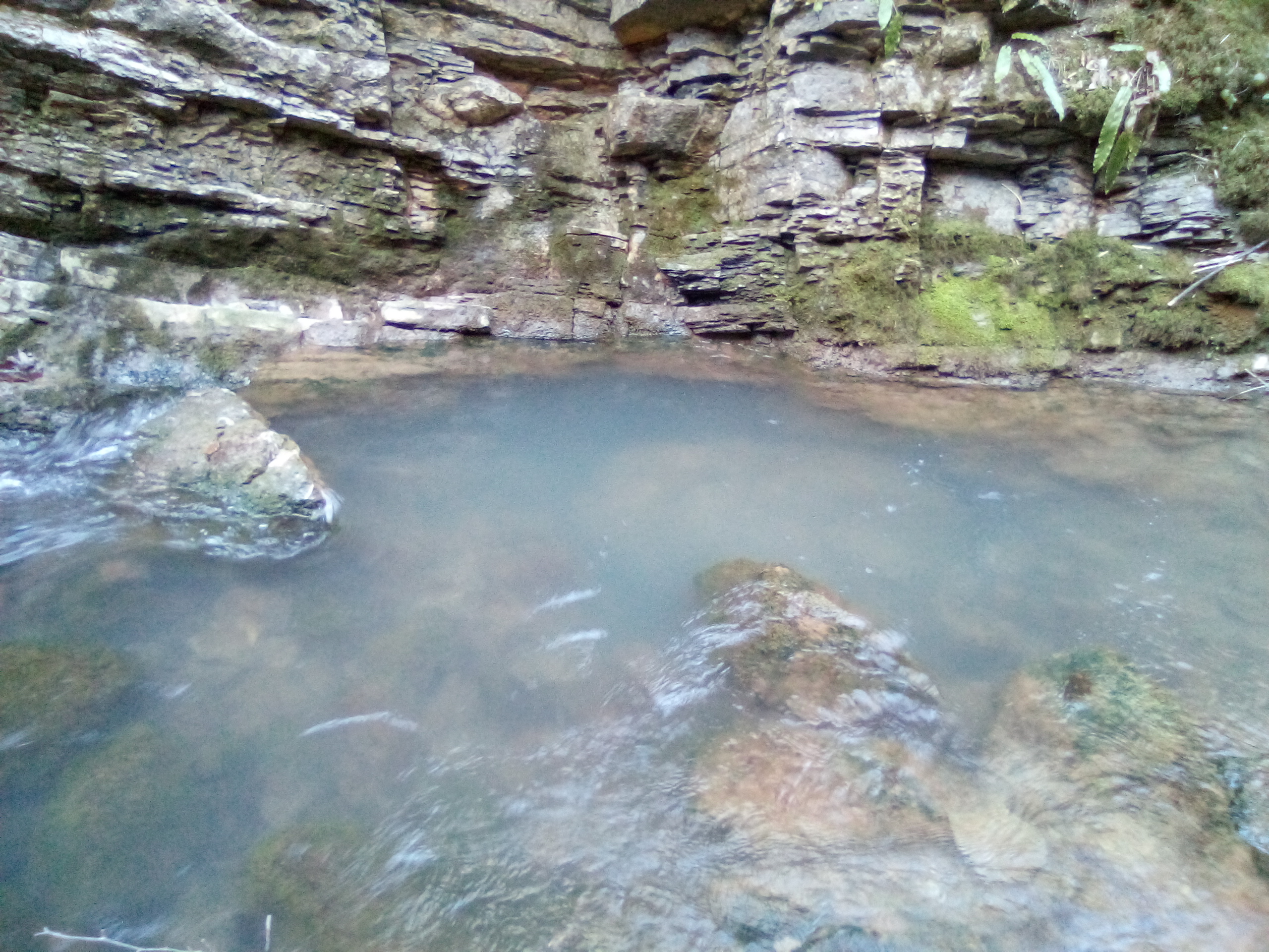 Izbucul Bulbuci (Toplicioarei) - Image 1