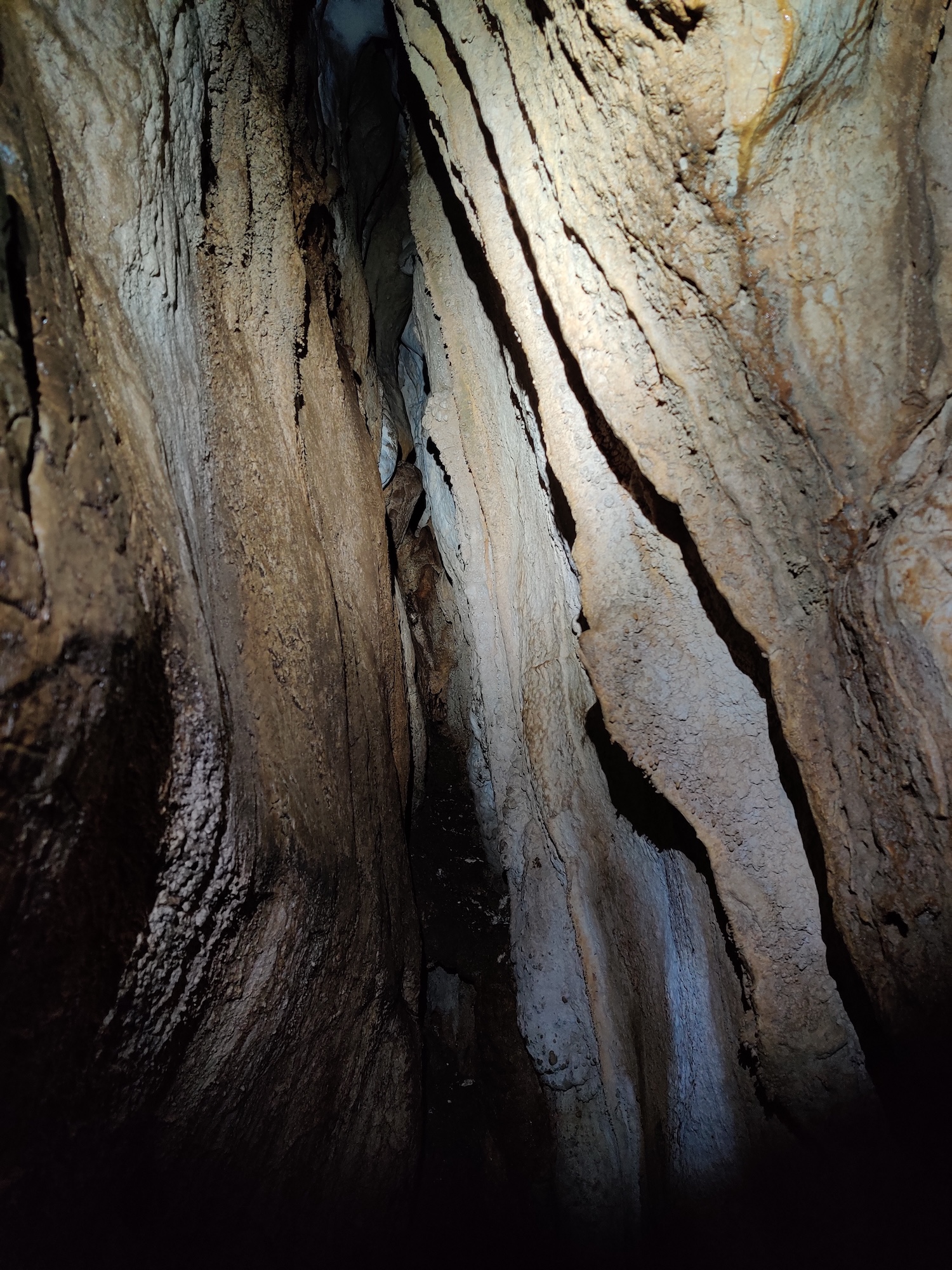 Peștera din Cioaca cu Apă - Image 3