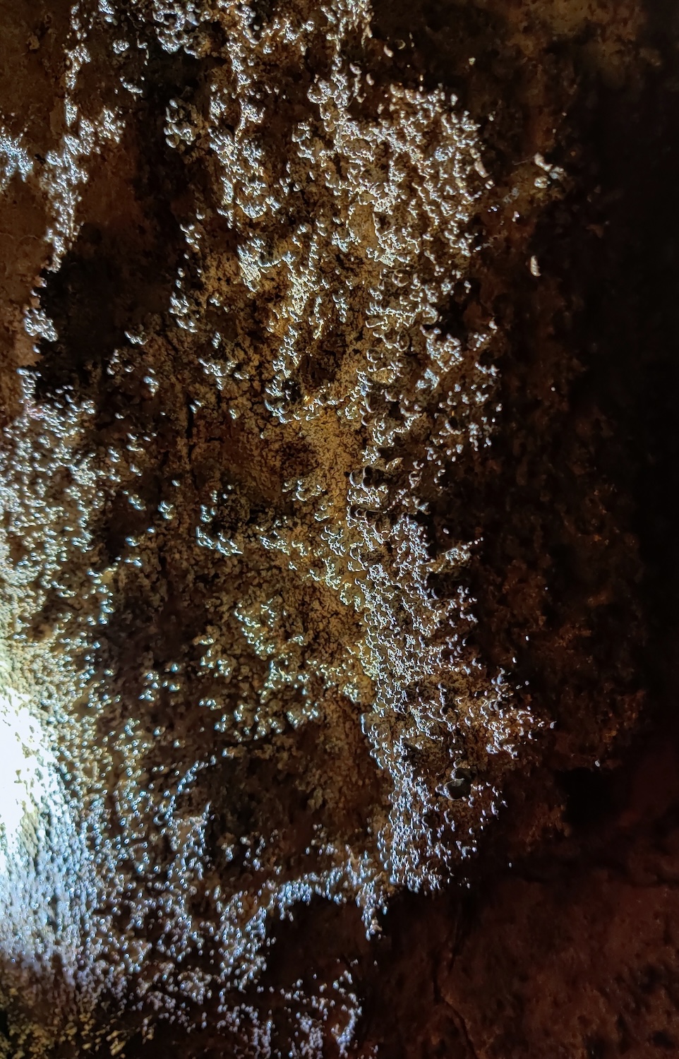 Peștera din Cioaca cu Apă - Image 4