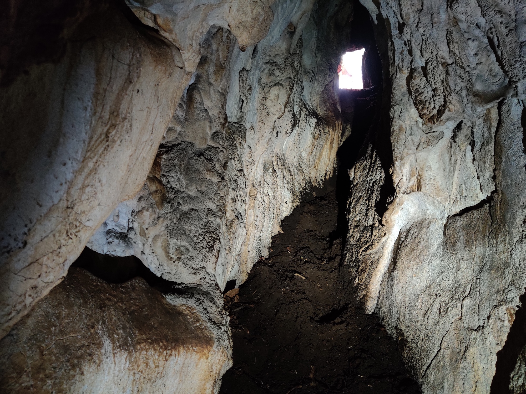 Peștera din Cioaca cu Apă - Image 2