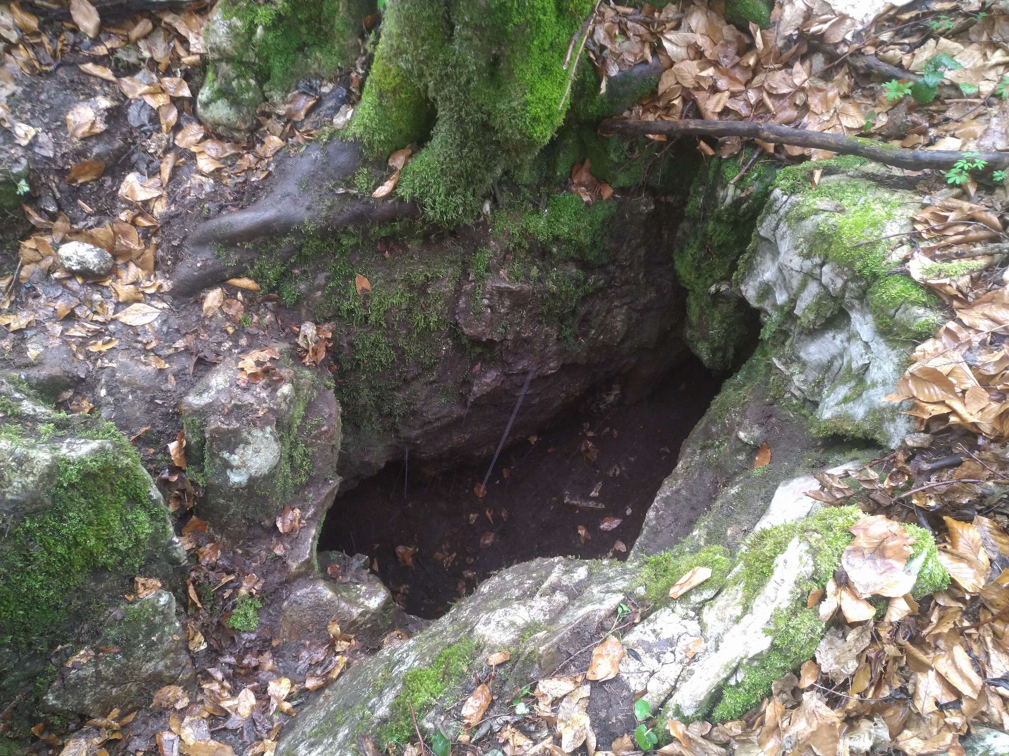 Peștera din Cioaca cu Apă - Image 1