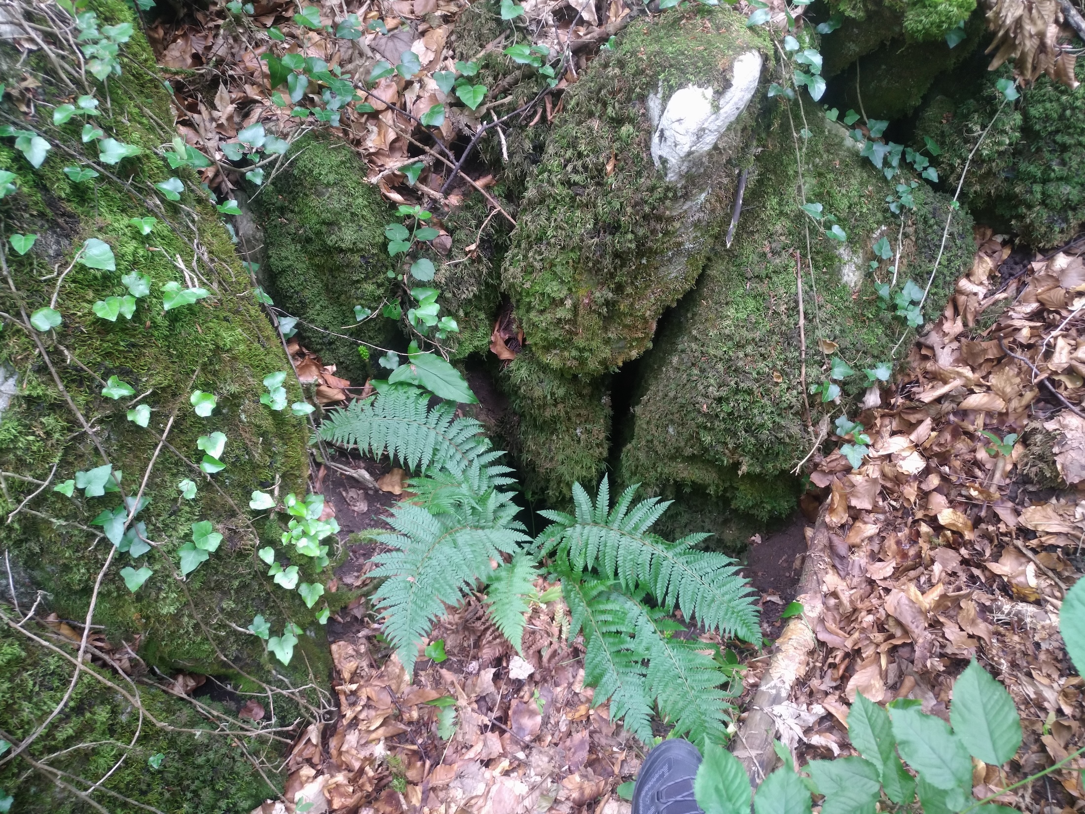 Avenul din Valea Padina Seacă - Image 2