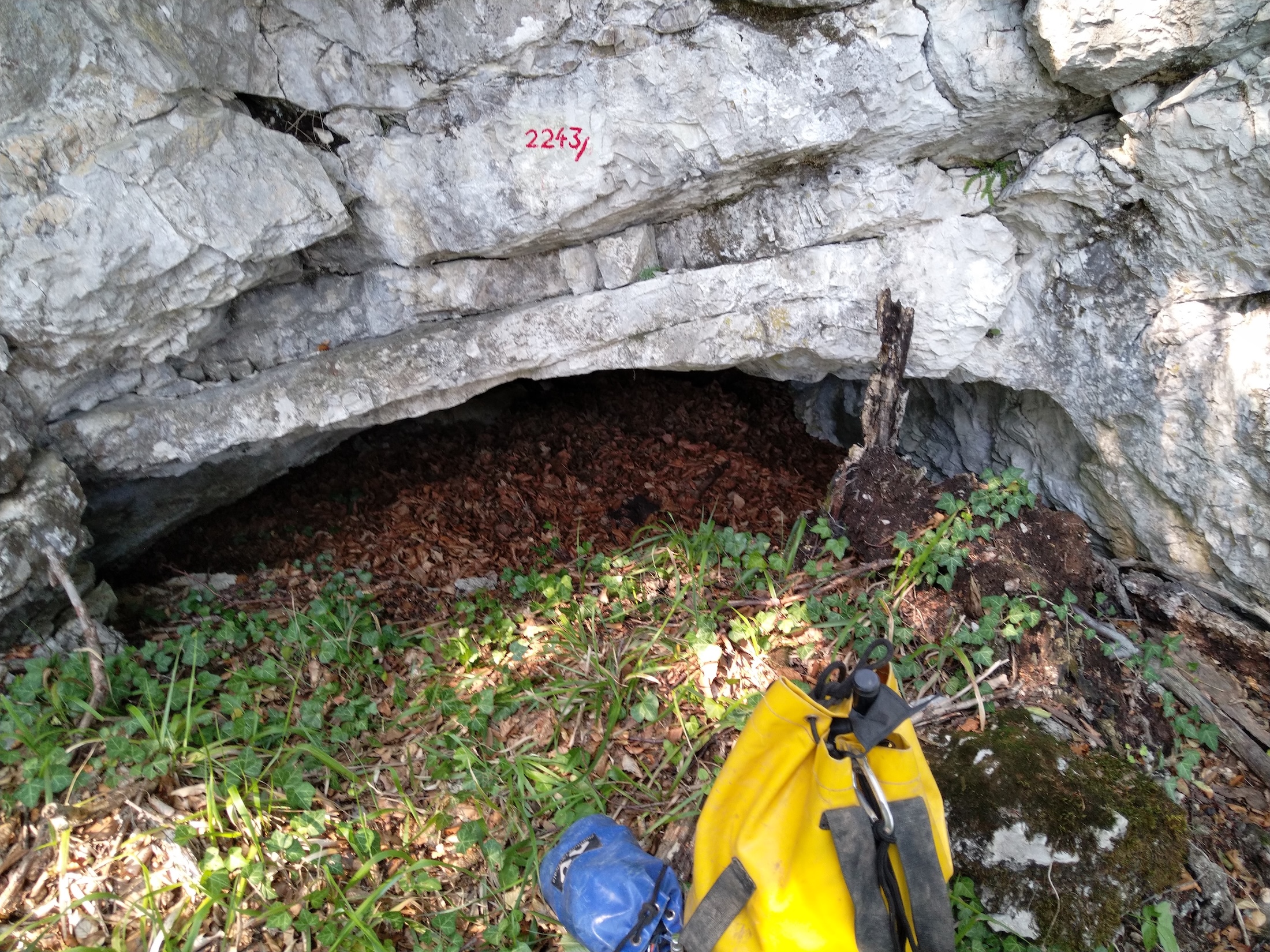 Peștera Nr.11 din Valea Toplița - Image 1