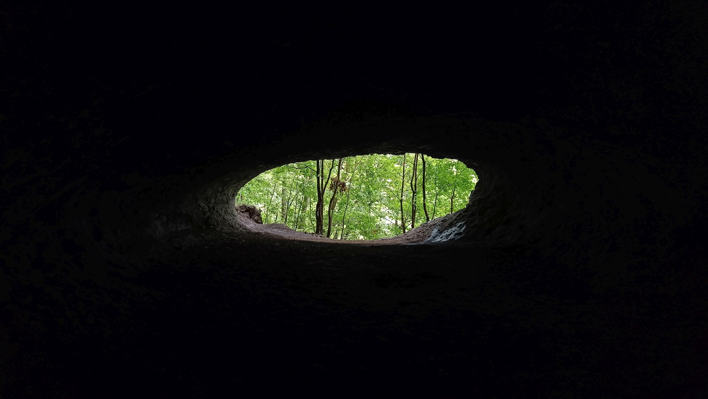 Intrare principala Casoaia lui Ladas