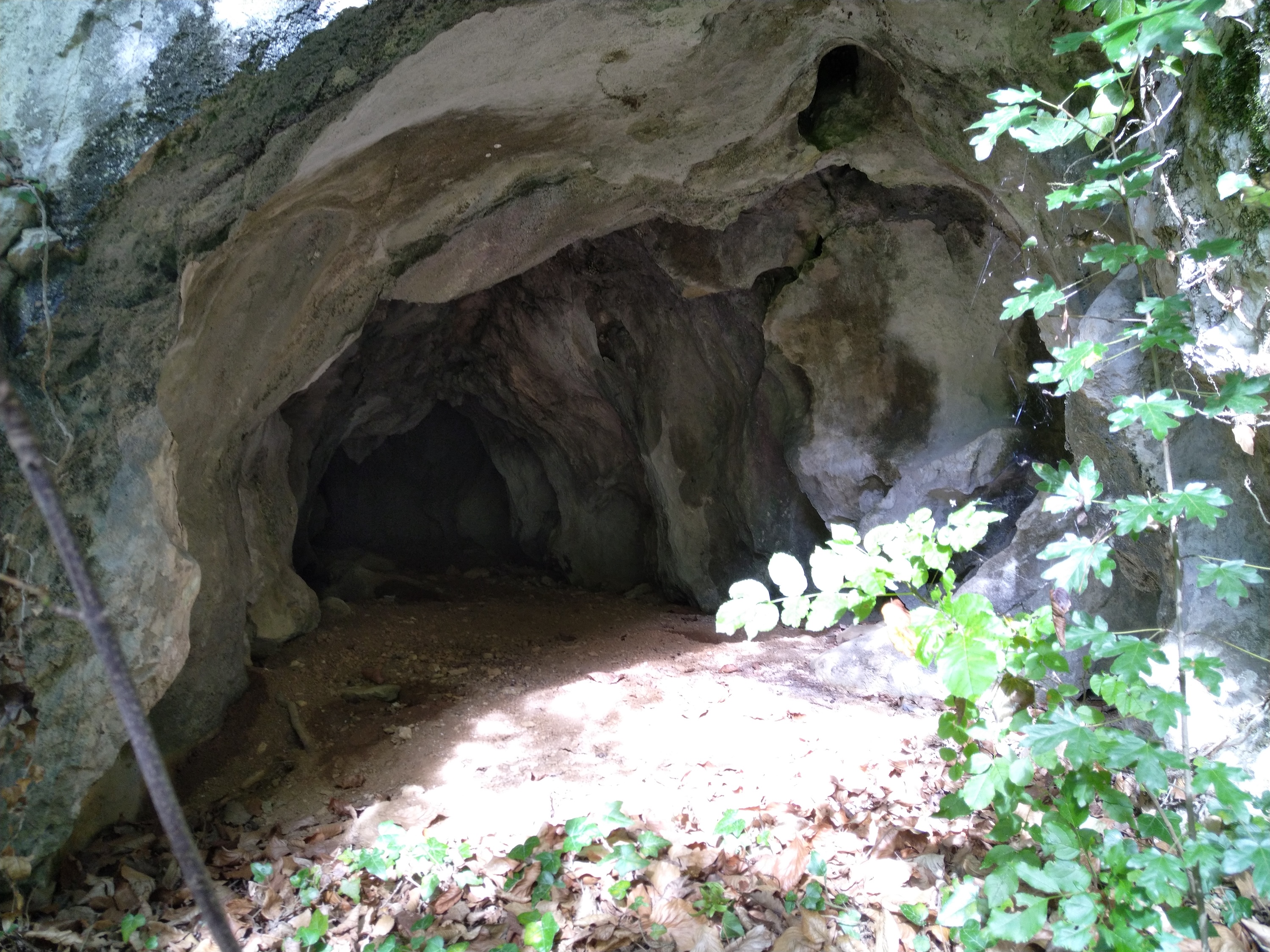 Peştera Miriapodelor - Image 1