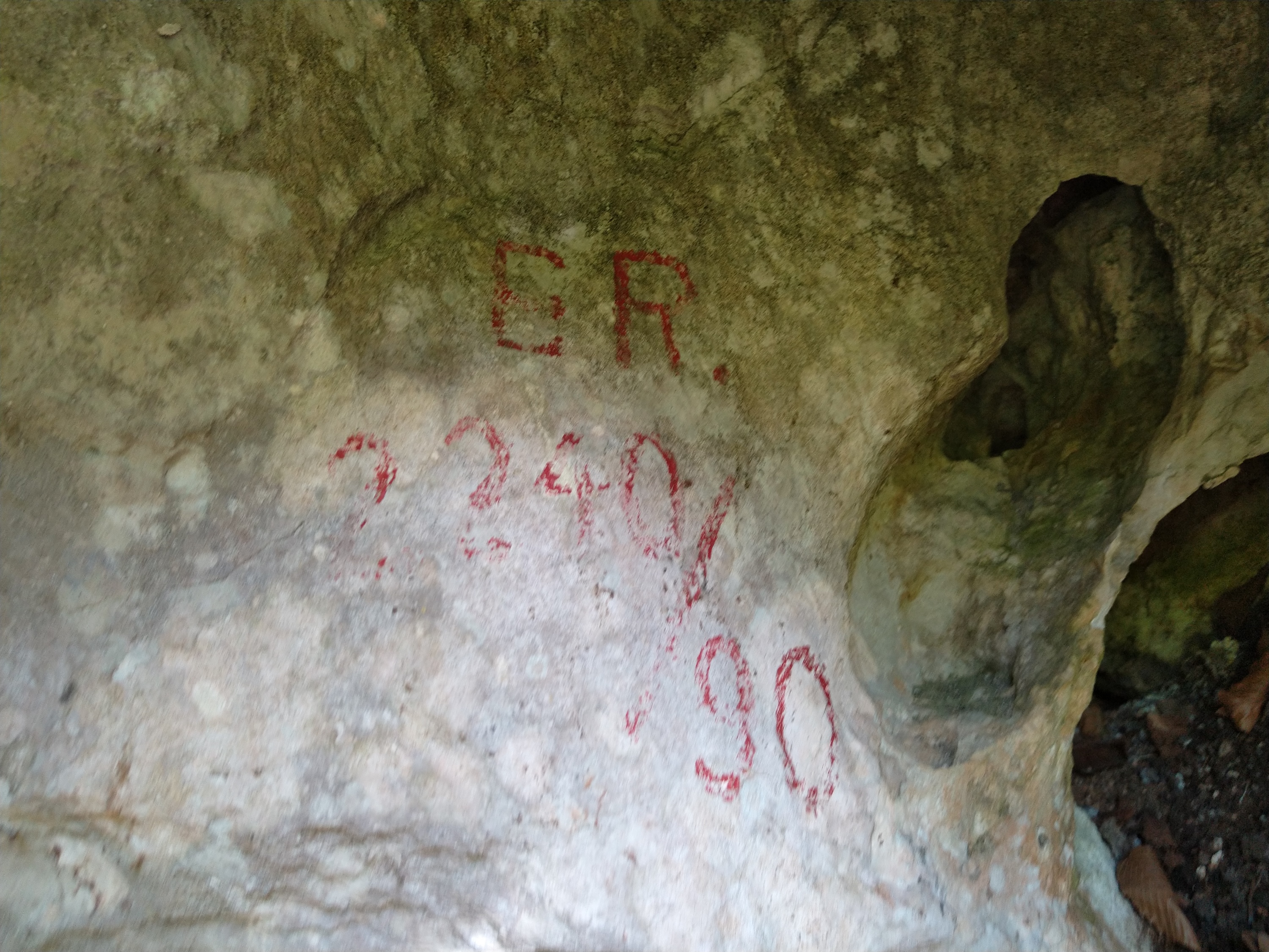 Peştera Miriapodelor - Image 2