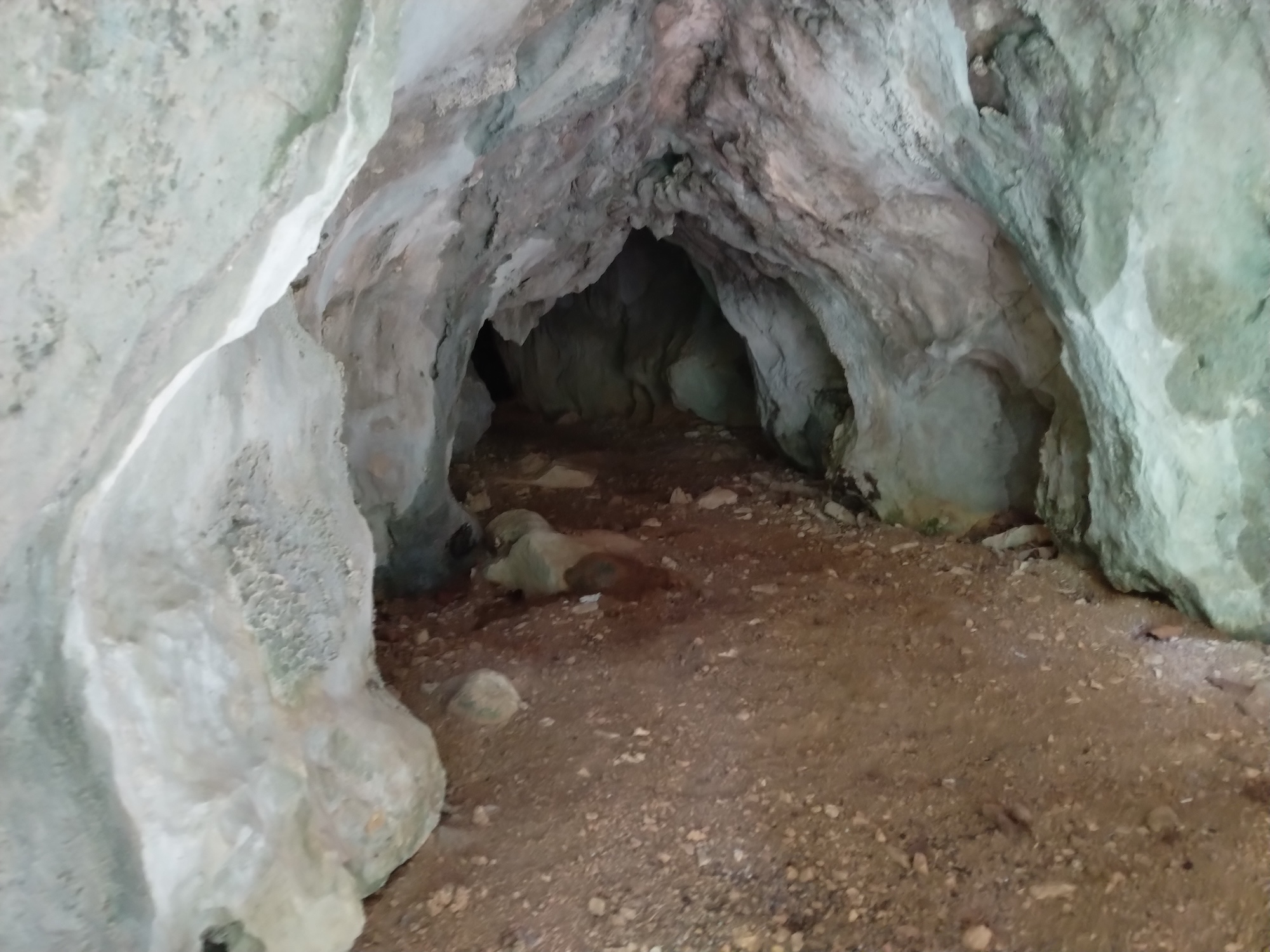 Peştera Miriapodelor - Image 3