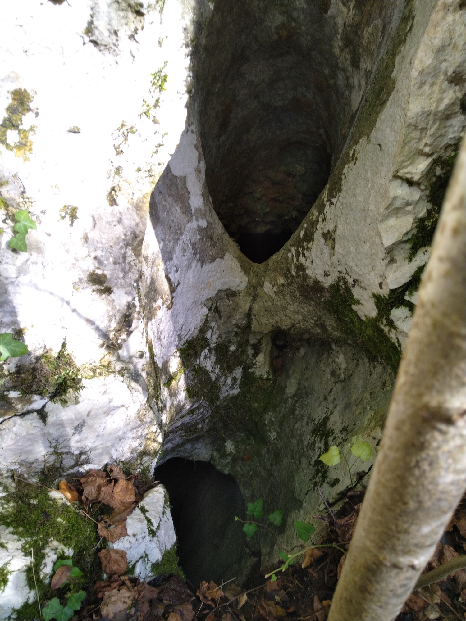 Avenul Spiralat - Image 1