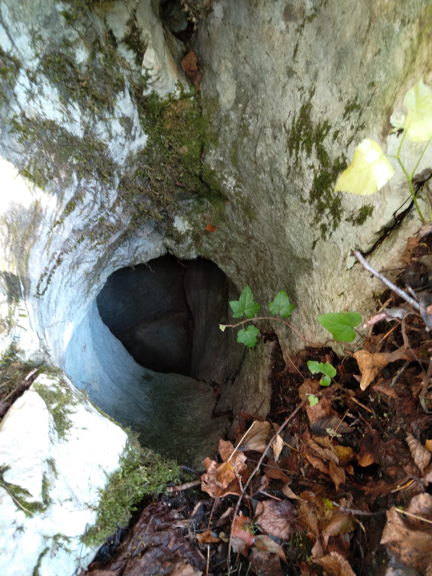 Avenul Spiralat - Image 2