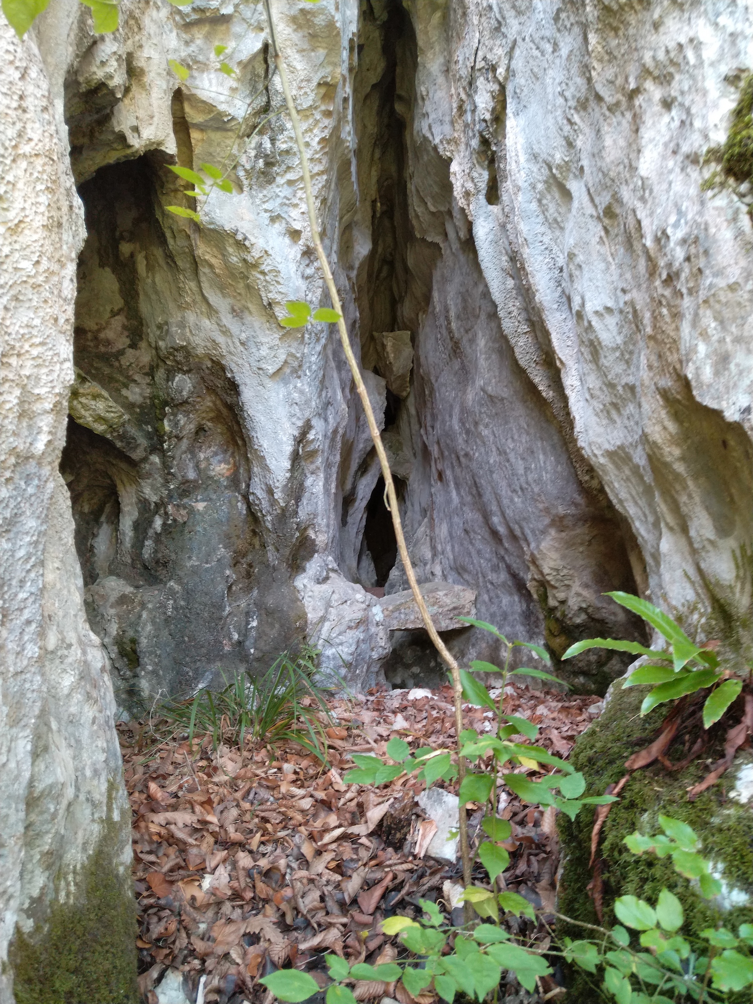 Peștera Strâmtă - Foto: Gagean Dușan Sorin