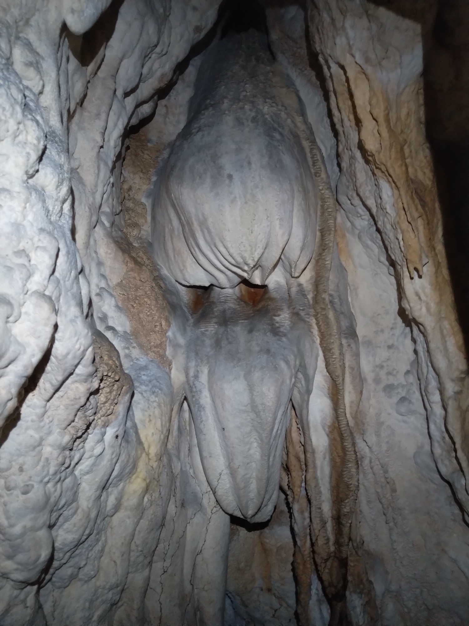 Peștera Răcoroasă - Image 5