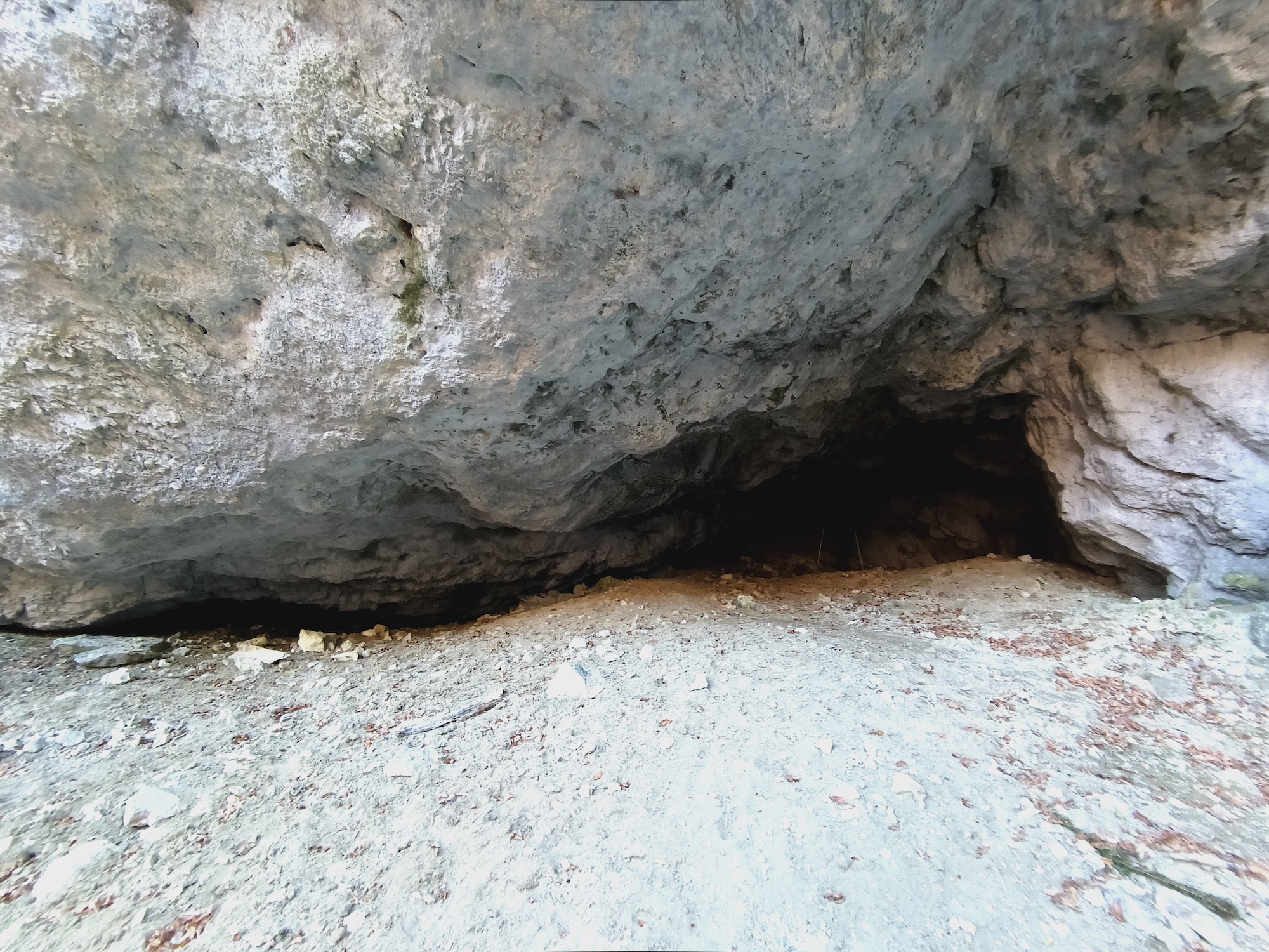 Intrarea in Peștera Urșilor - vedere generala