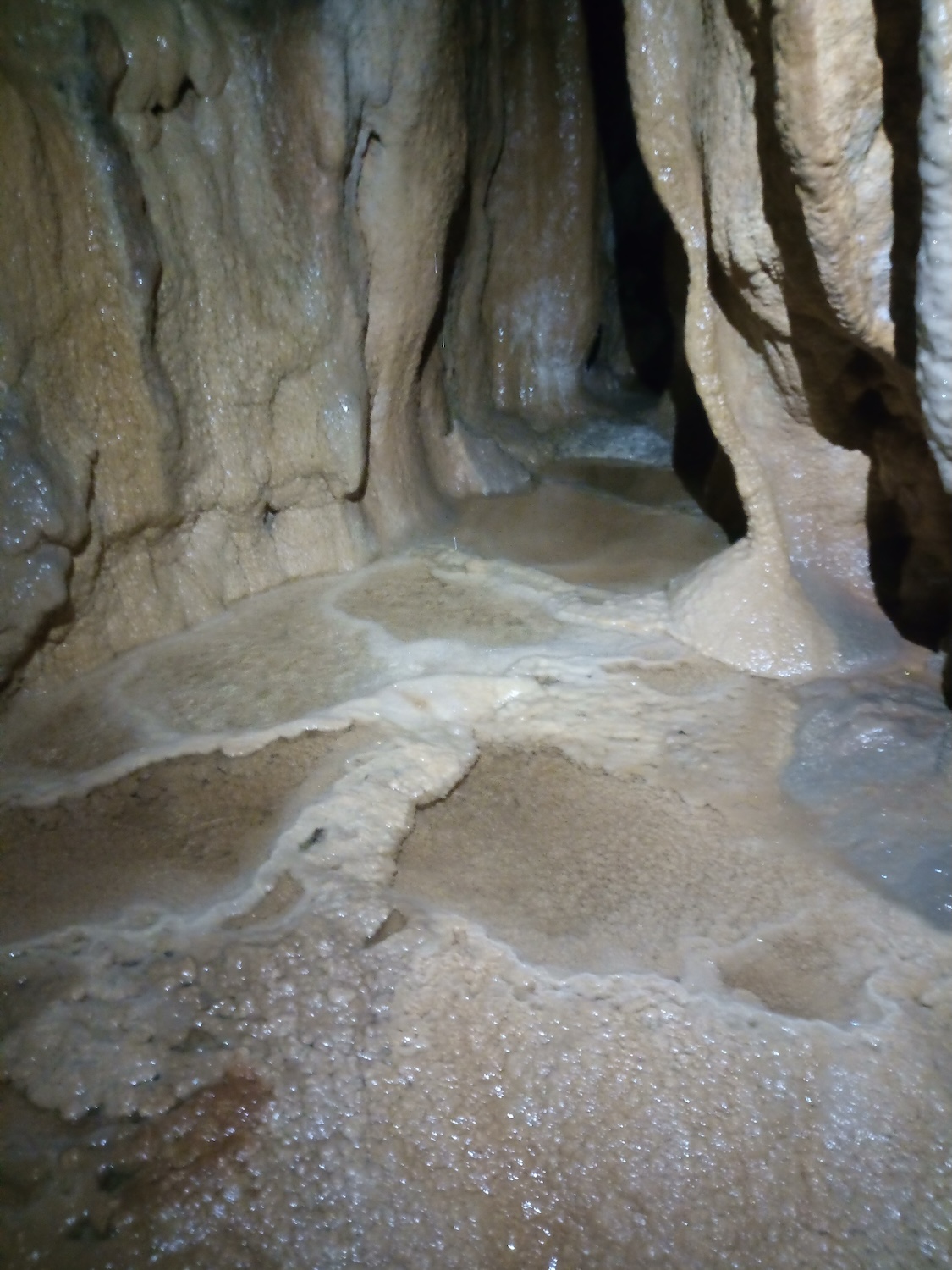 Peștera din Avenul Constanța