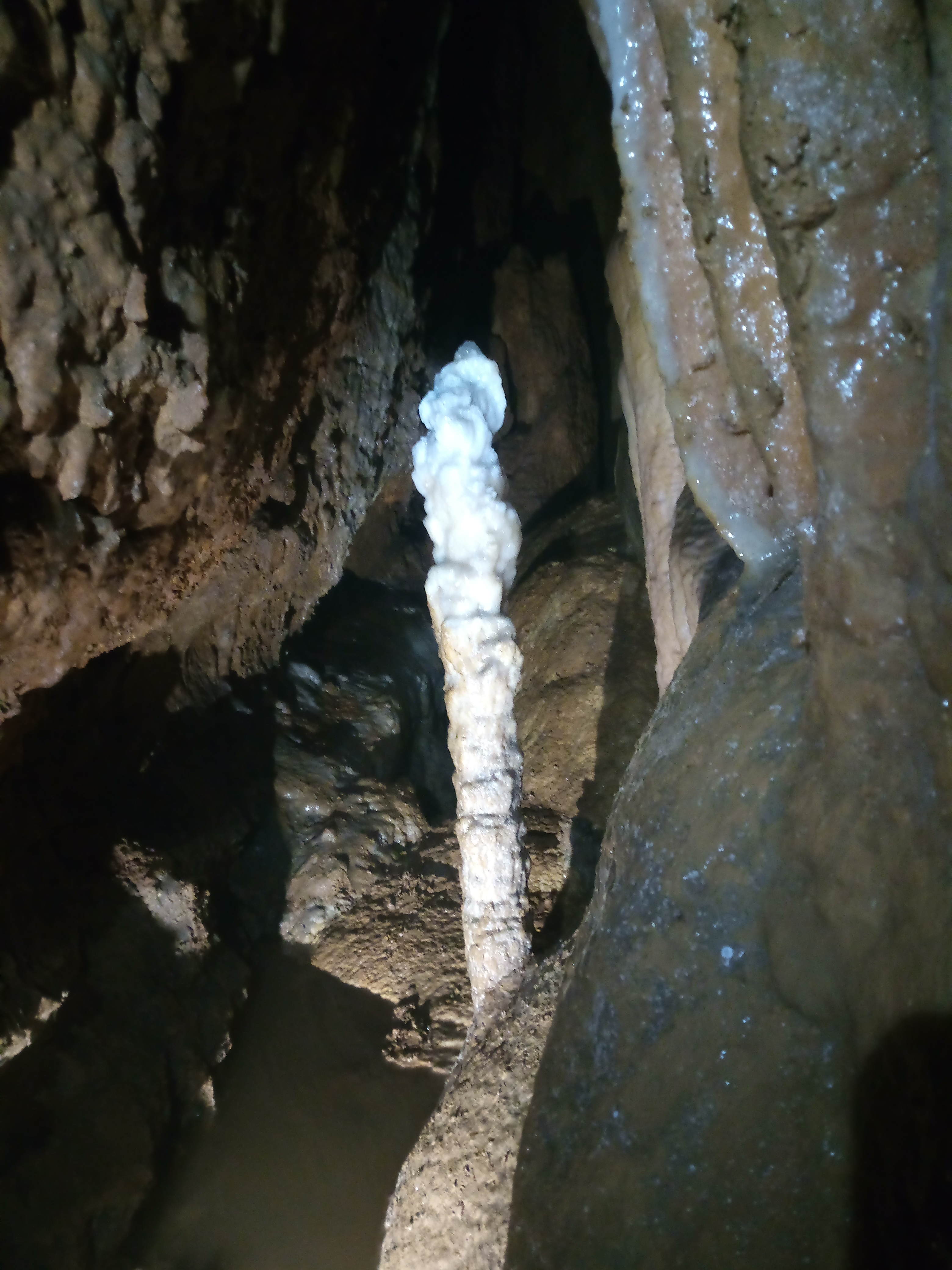 Peștera din Avenul Constanța