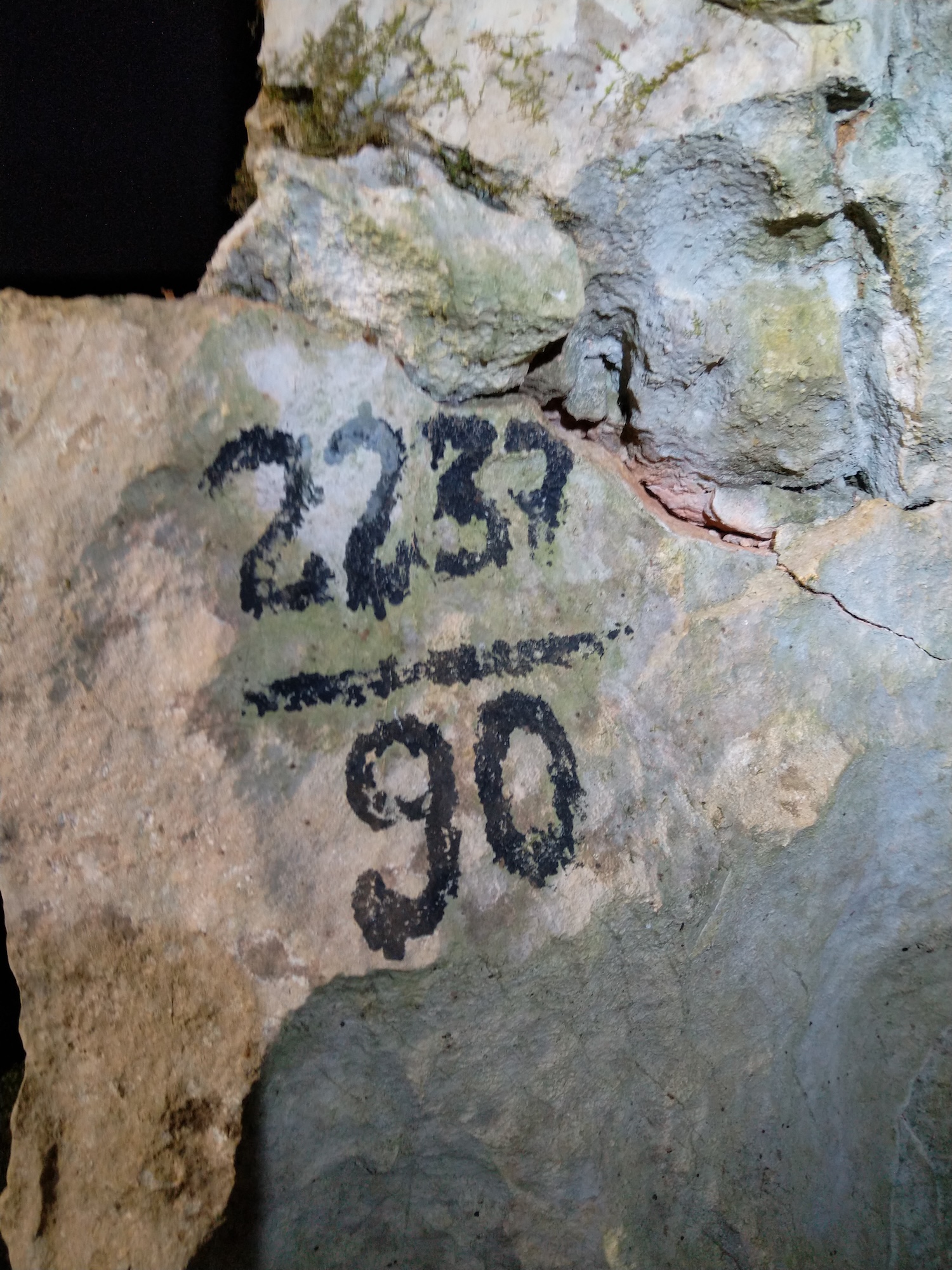 Peștera Nr.4 de la Mediureca - Image 2