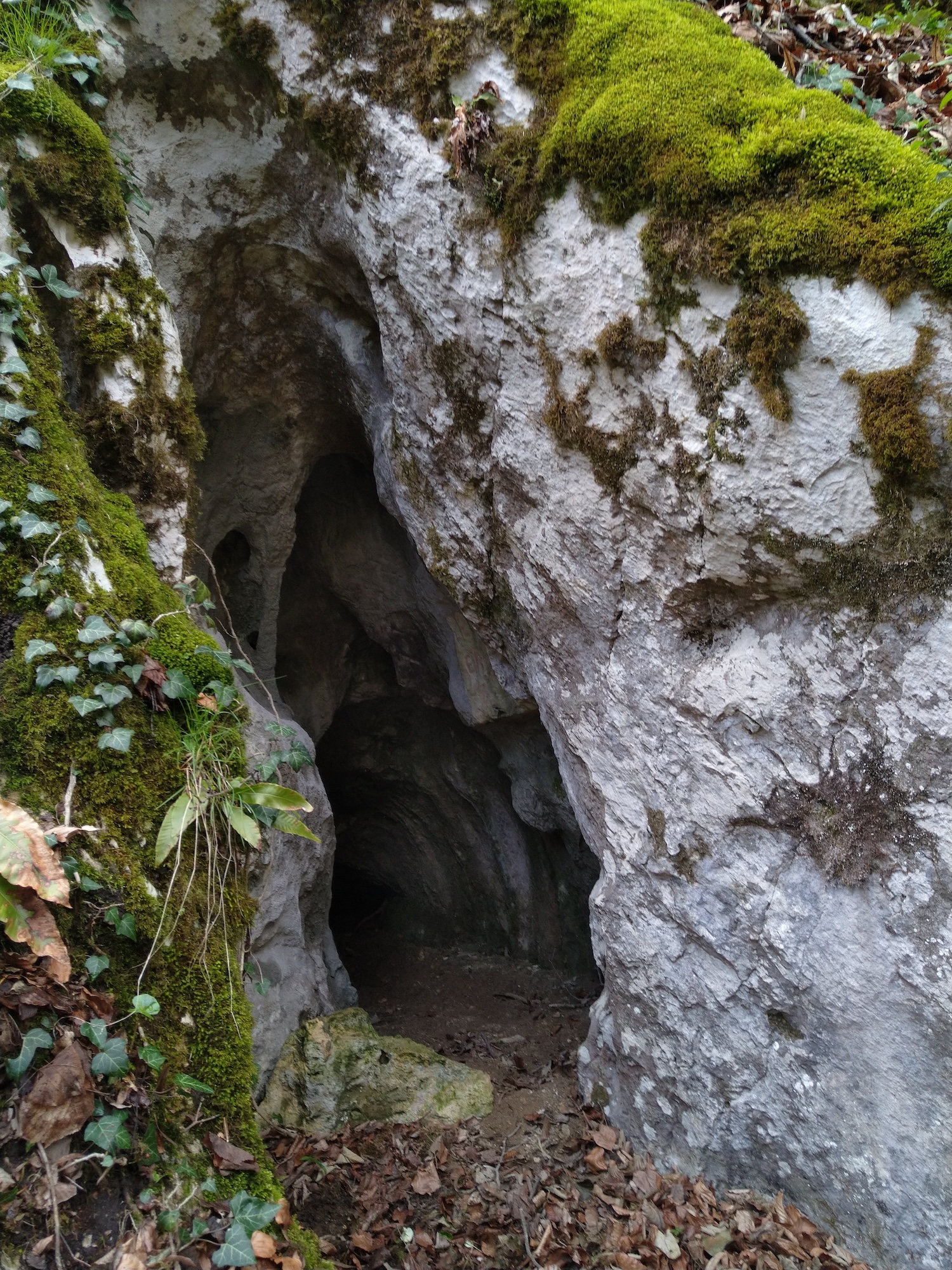 Peștera Nr. 8 din Valea Comarnic - Image 1